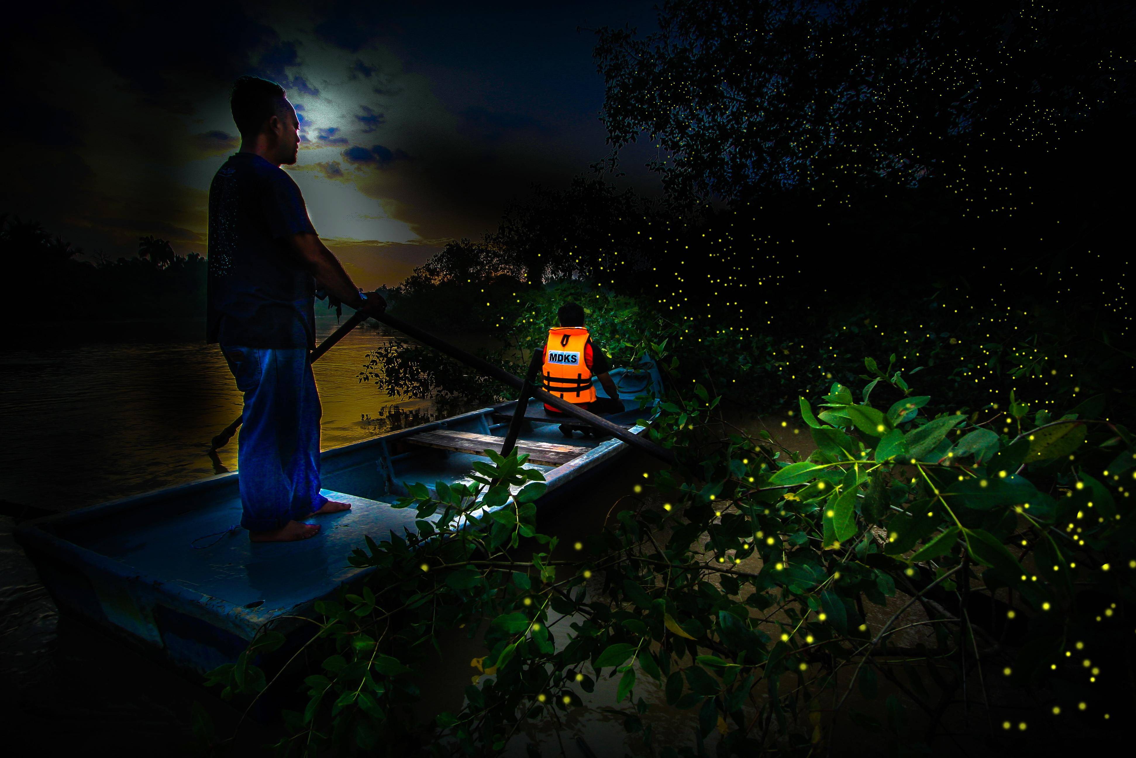 Vuurvliegjes excursie vanuit Kuala lumpur