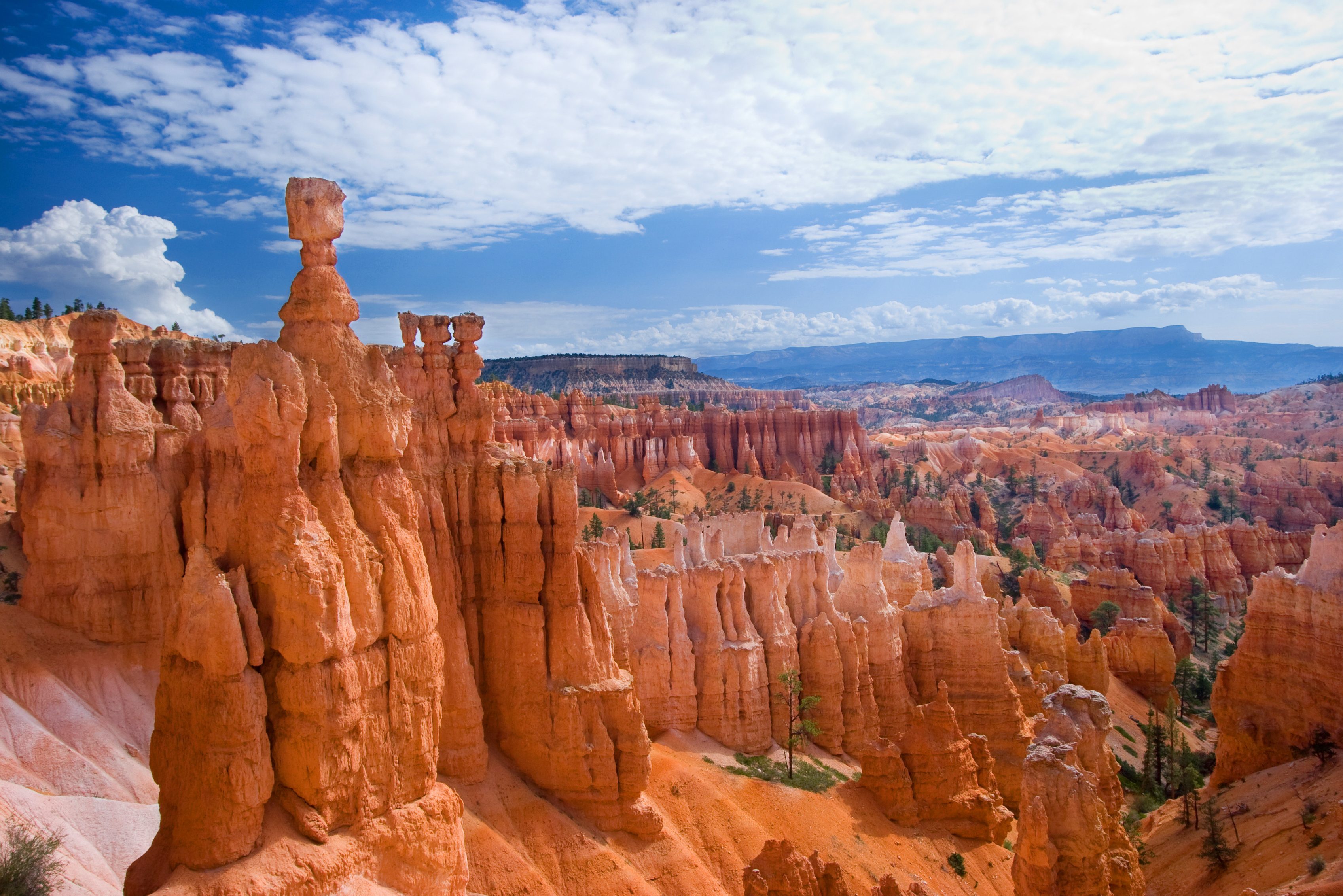 Uitkijkpunt bij Bryce Canyon in Amerika