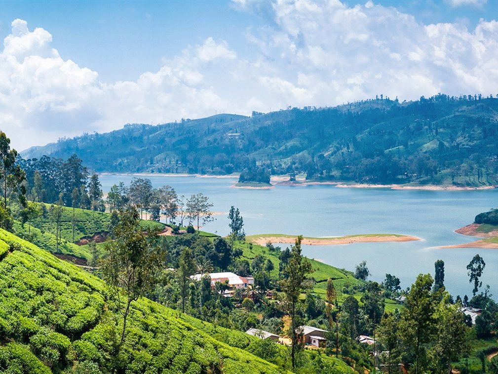 Landschap in Ella Sri Lanka