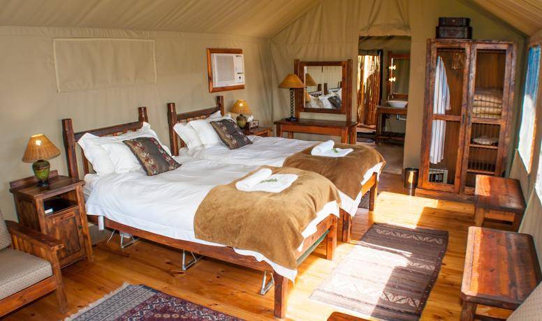 Buffeldrift Familie Safari Tent