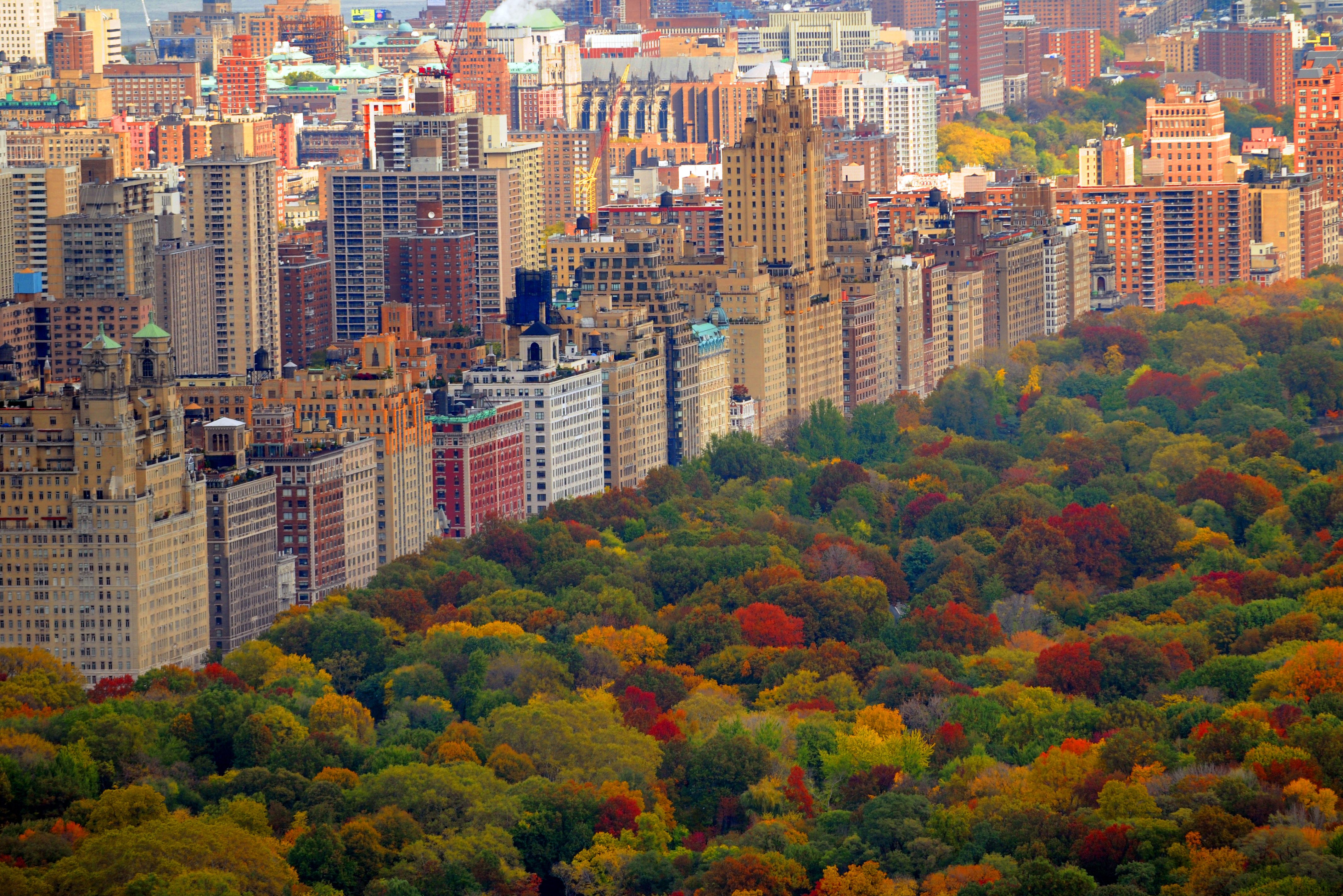 Central Park in Manhattan New York