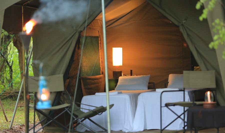 Big Game Camp Tent Yala