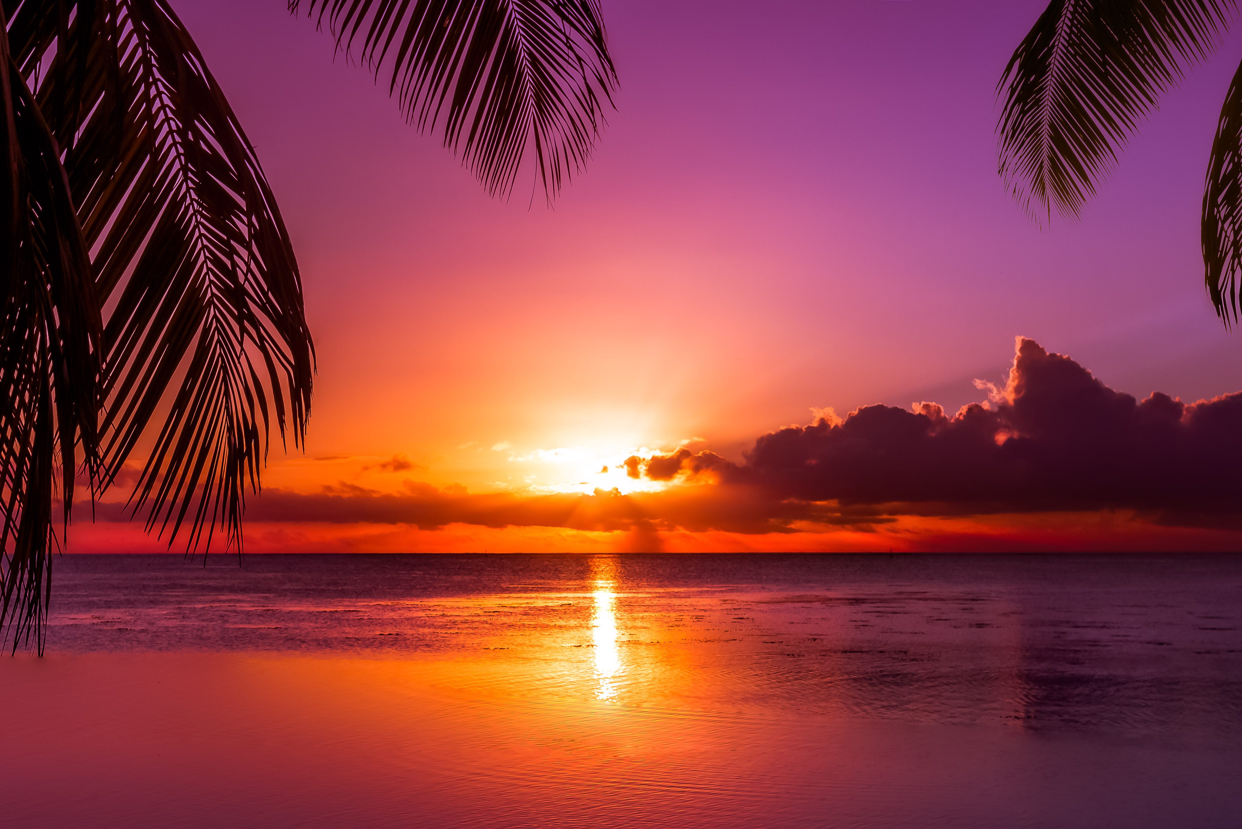 Sunset relax. Пальмы живопись. Тропический закат. Девушка в гамаке на пляже. Закат стоковые фото.