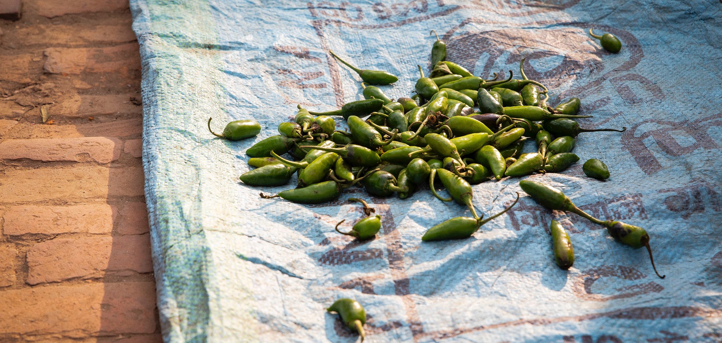 Groene pepers in Nepal