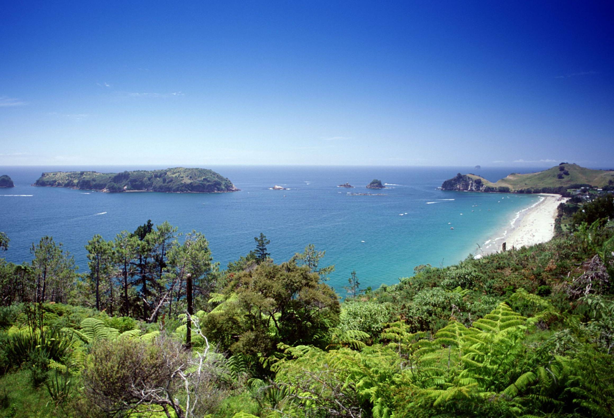 Kleurrijke kustlijn in de Coromandel in Nieuw-Zeeland