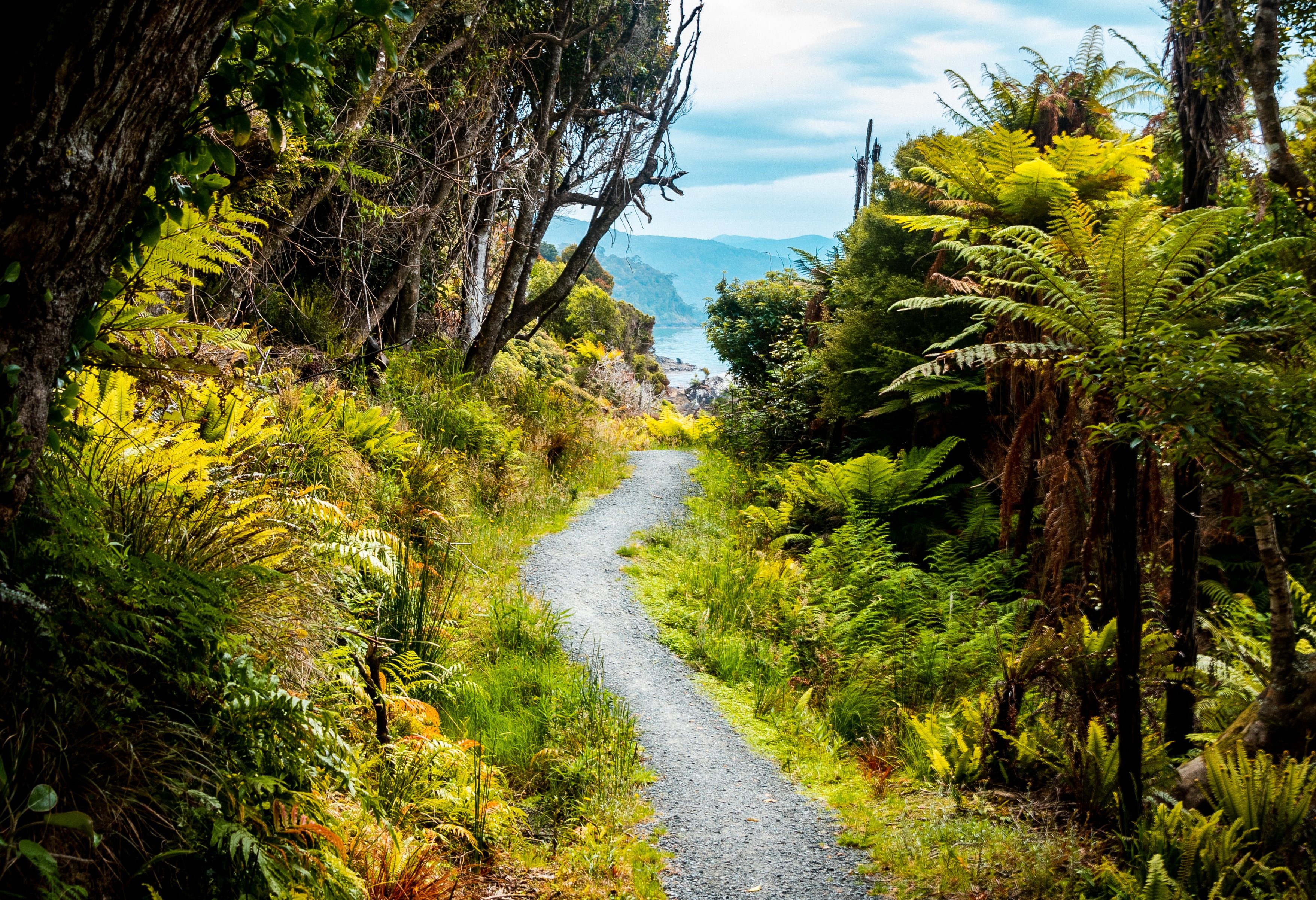 Wandelen op Stewart Island in Nieuw-Zeeland