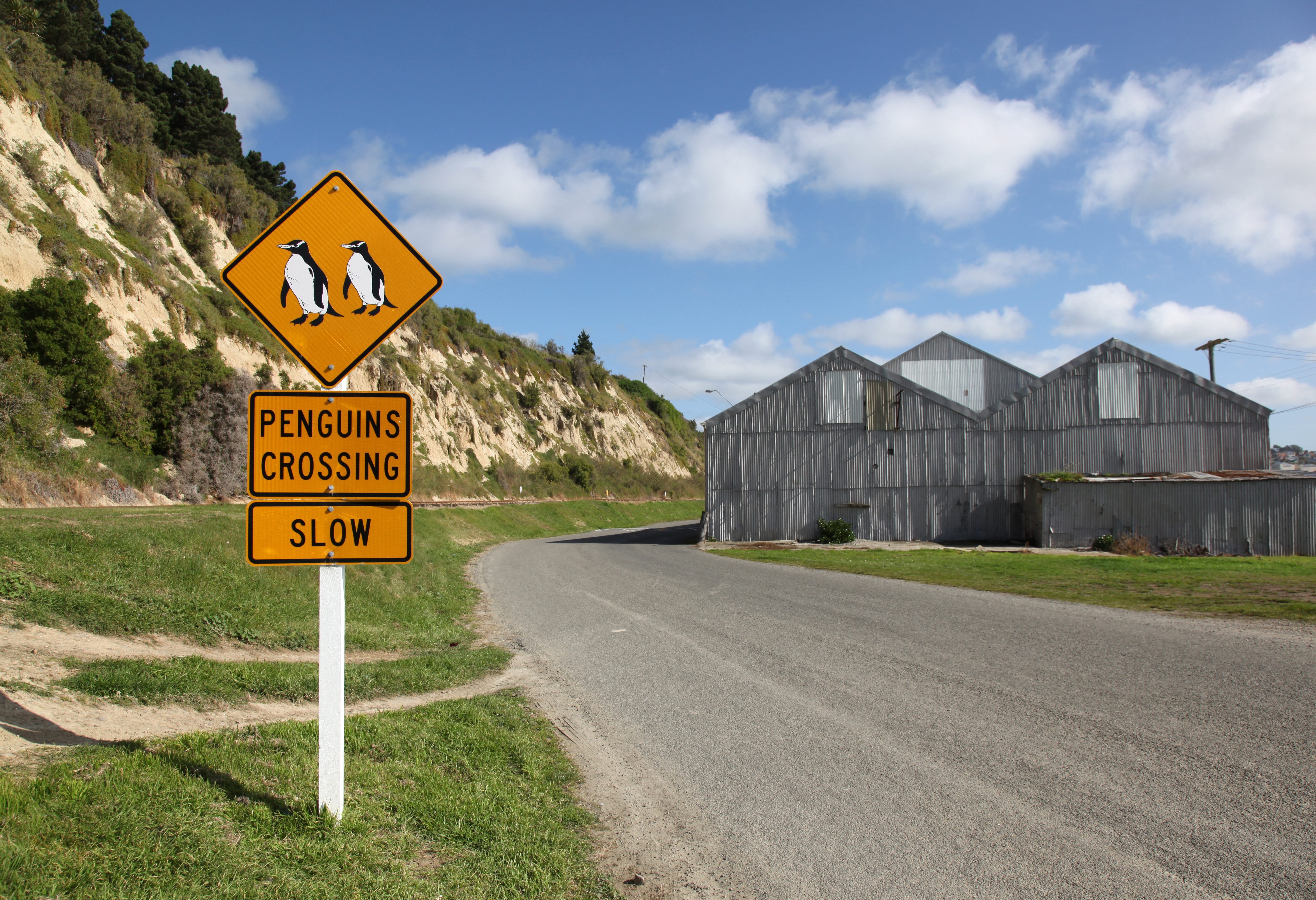 Verkeersbord overstekende pinguins bij Oamaru in Nieuw-Zeeland