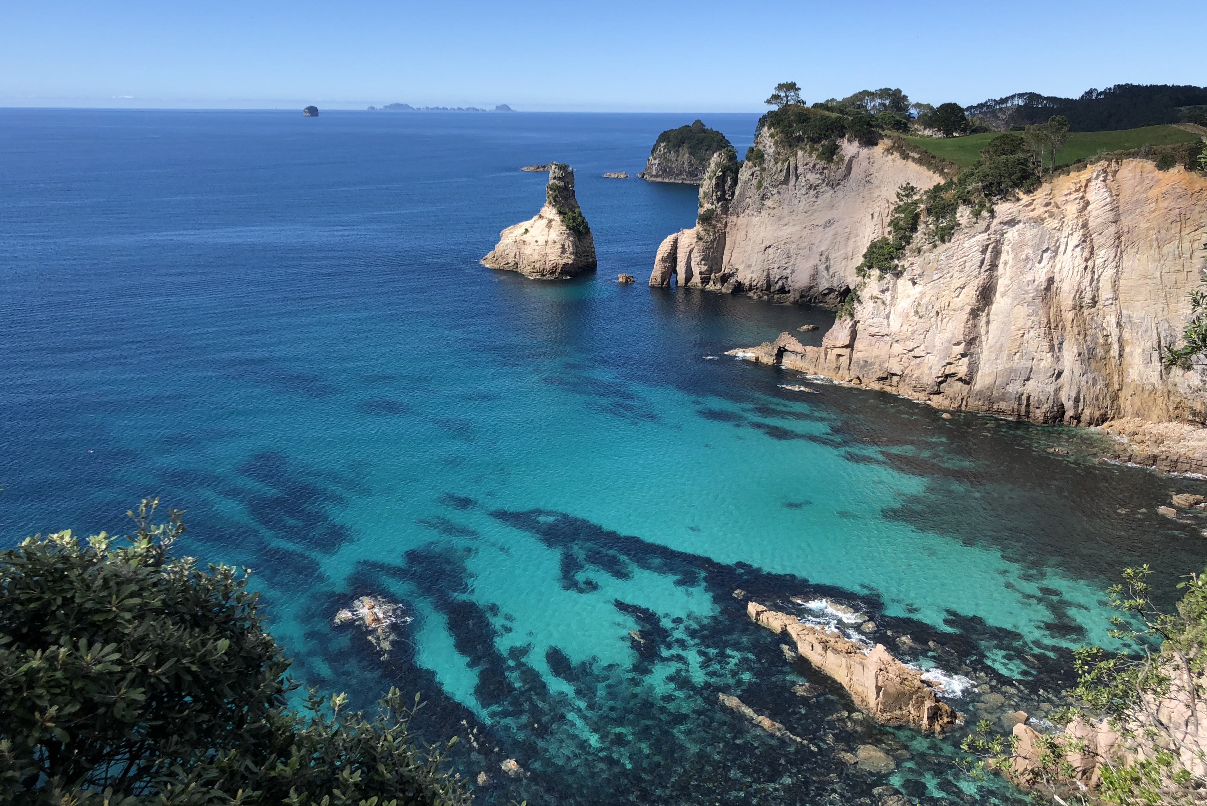 Kustlandschap tijdens het kajakken bij Cathedral Cove in de Coromandel in Nieuw-Zeeland