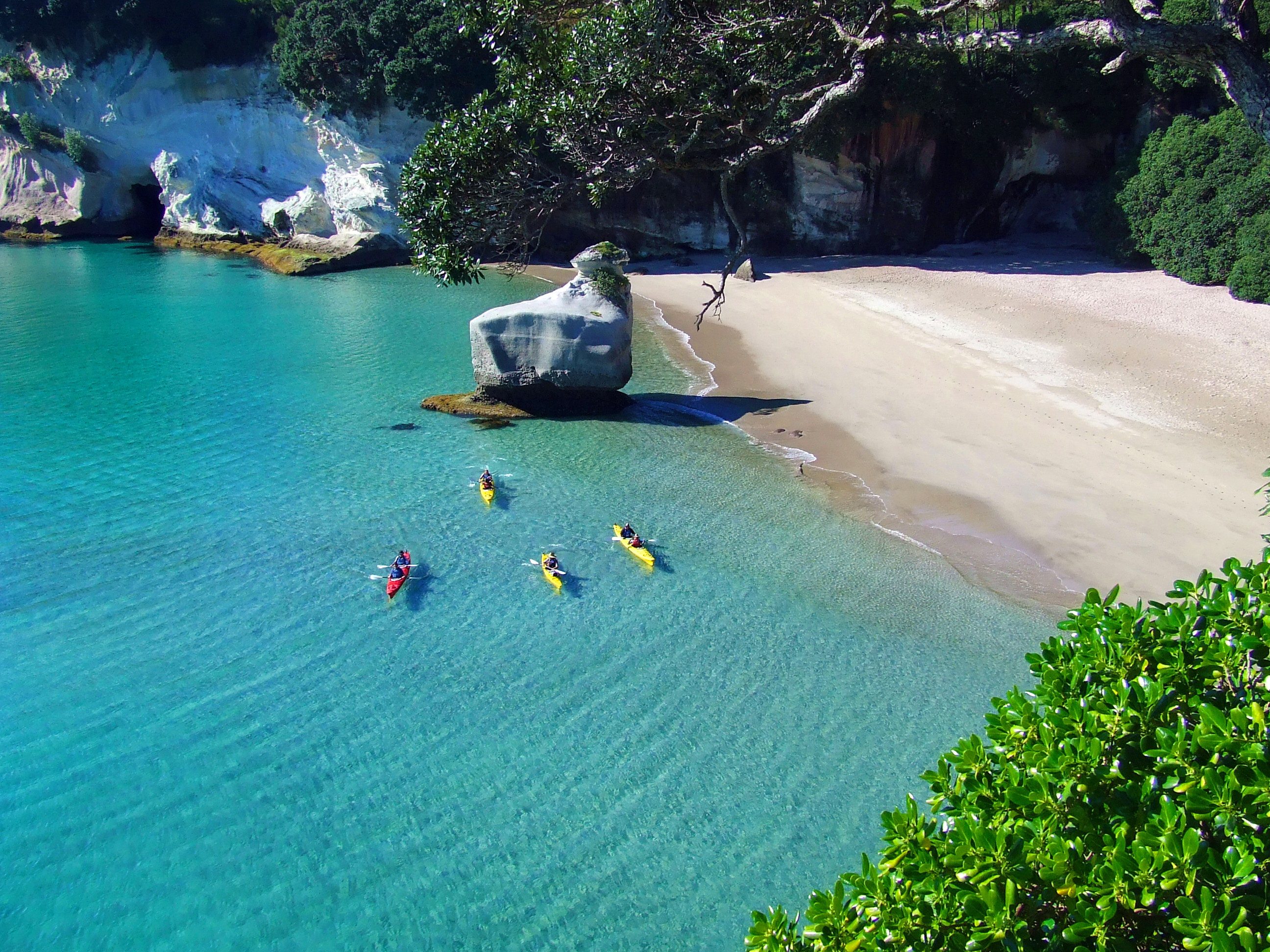 coromandel kayak