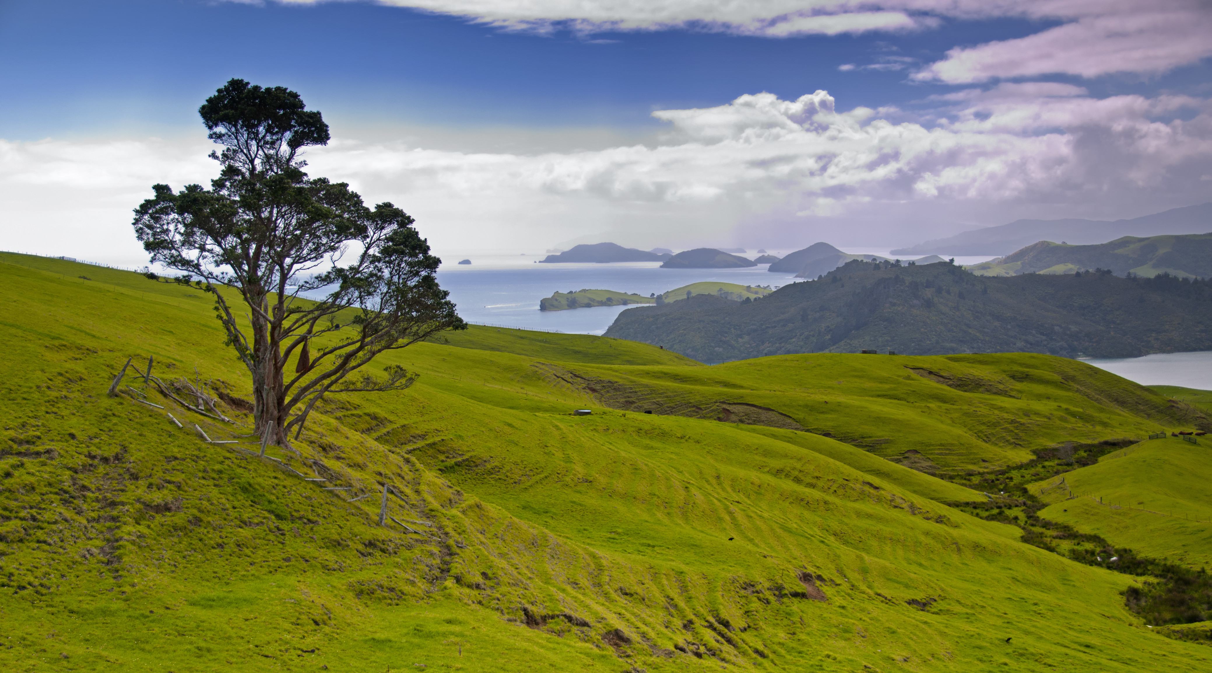 coromandel uitzicht