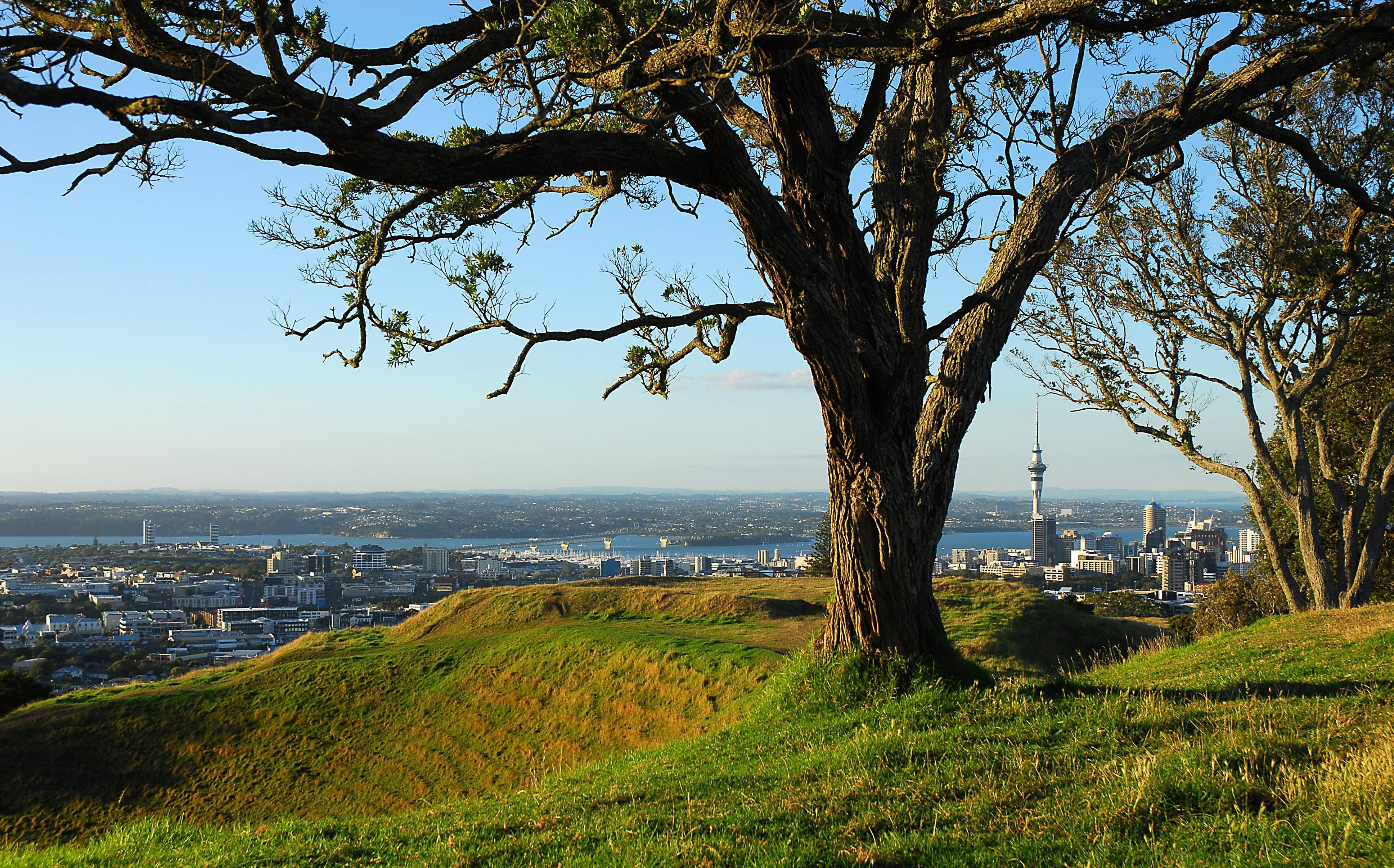 mount eden