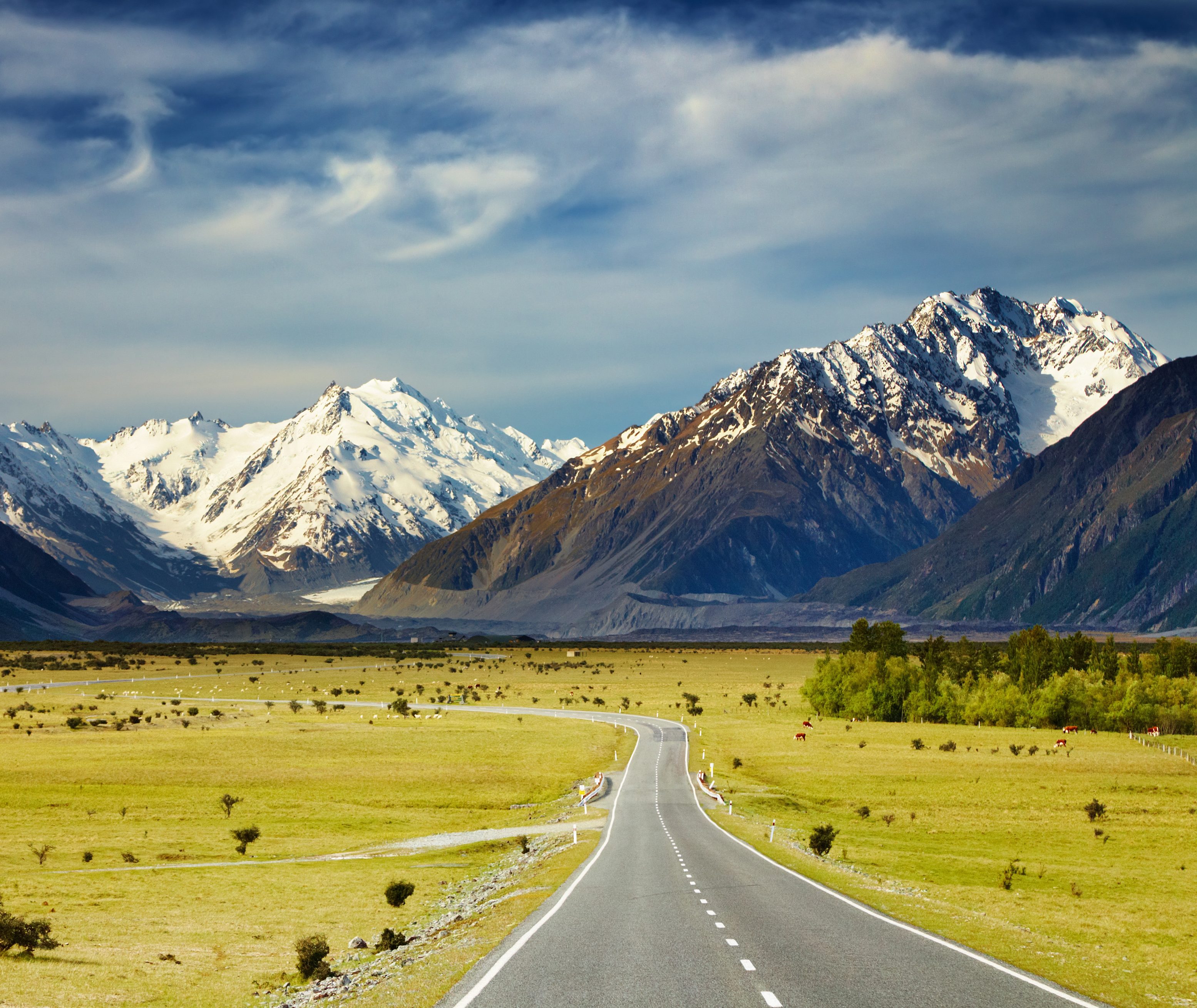 Nieuw-Zeeland Fly drive