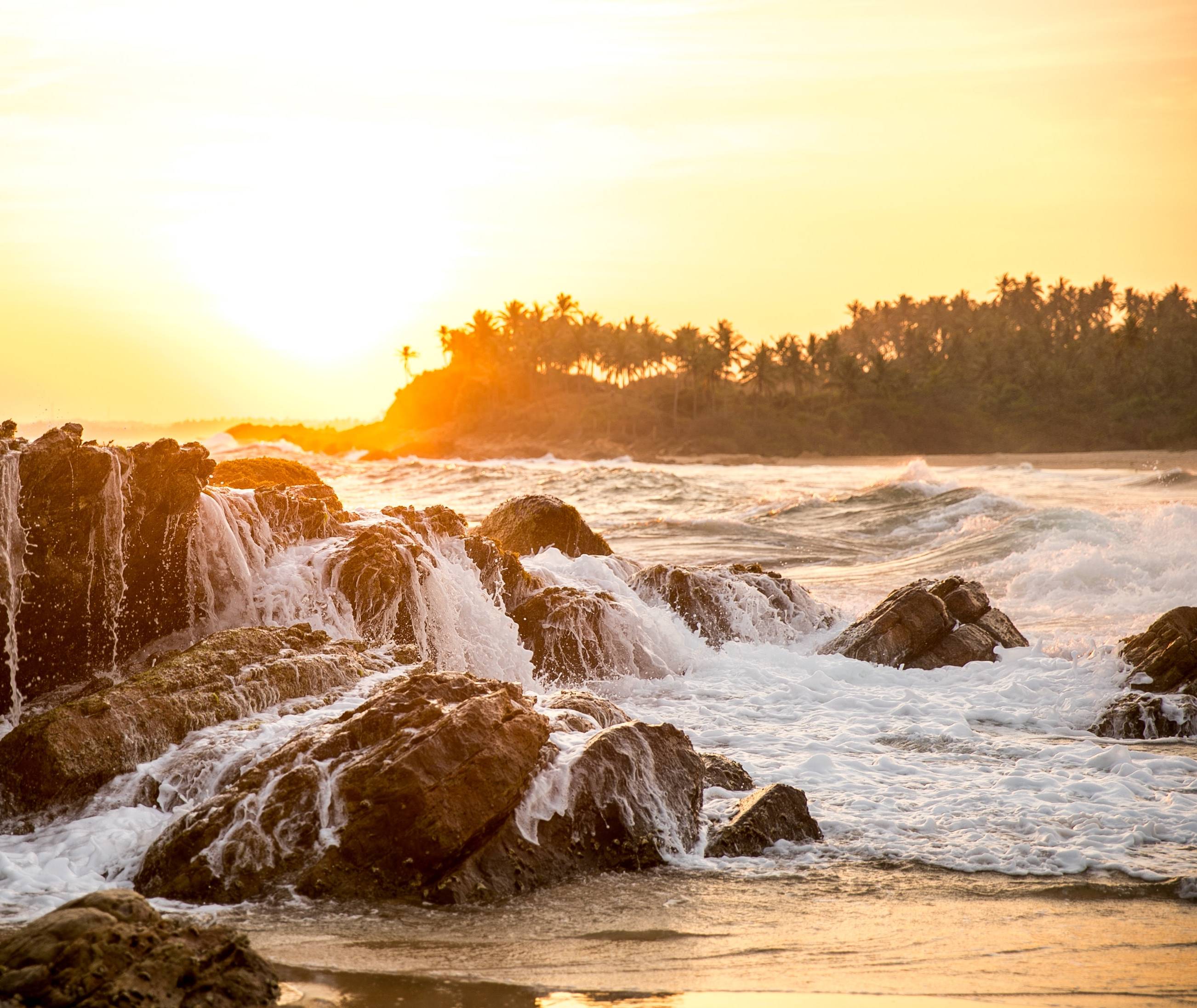 Sri Lanka beste reistijd