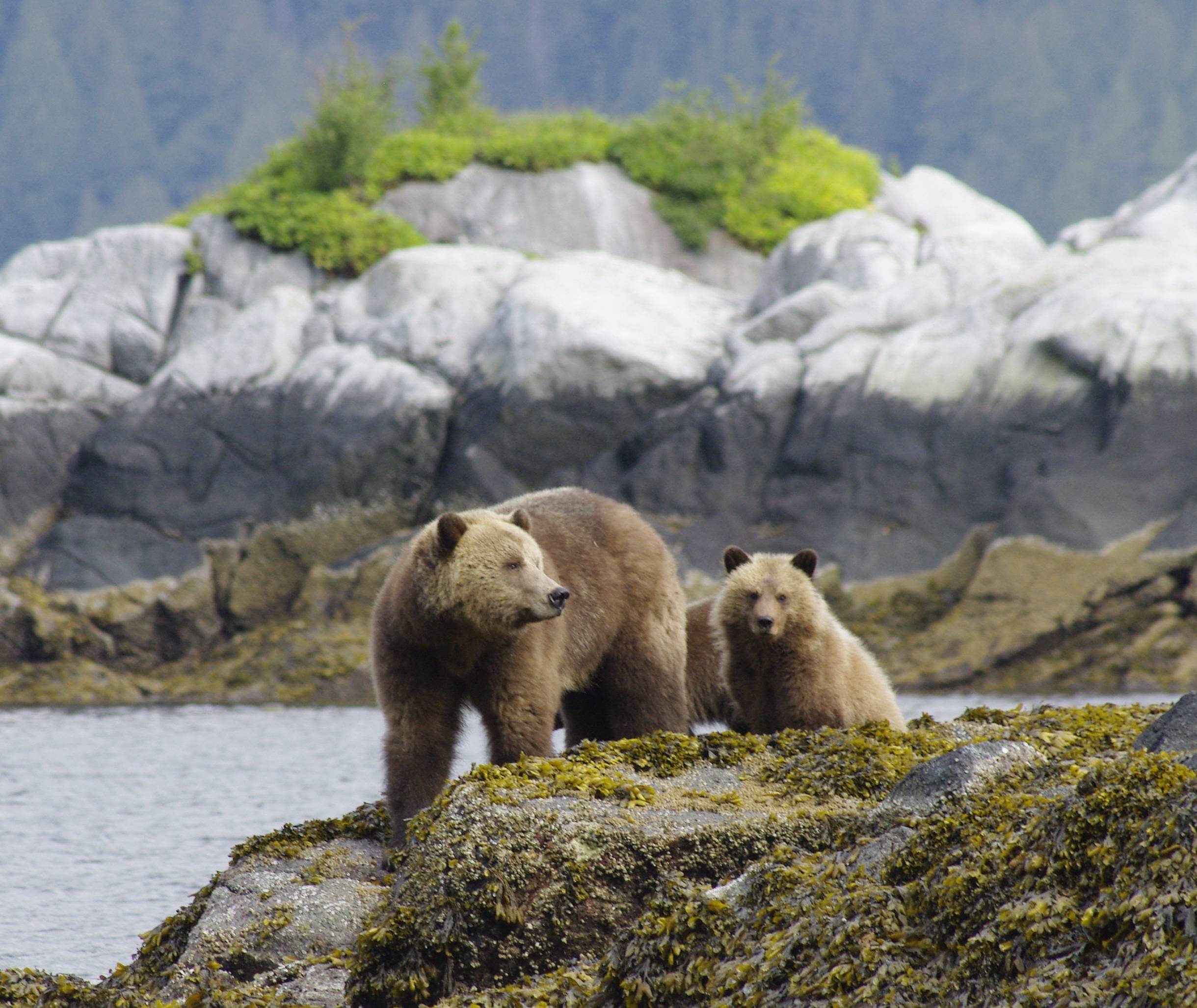 West-Canada British Columbia