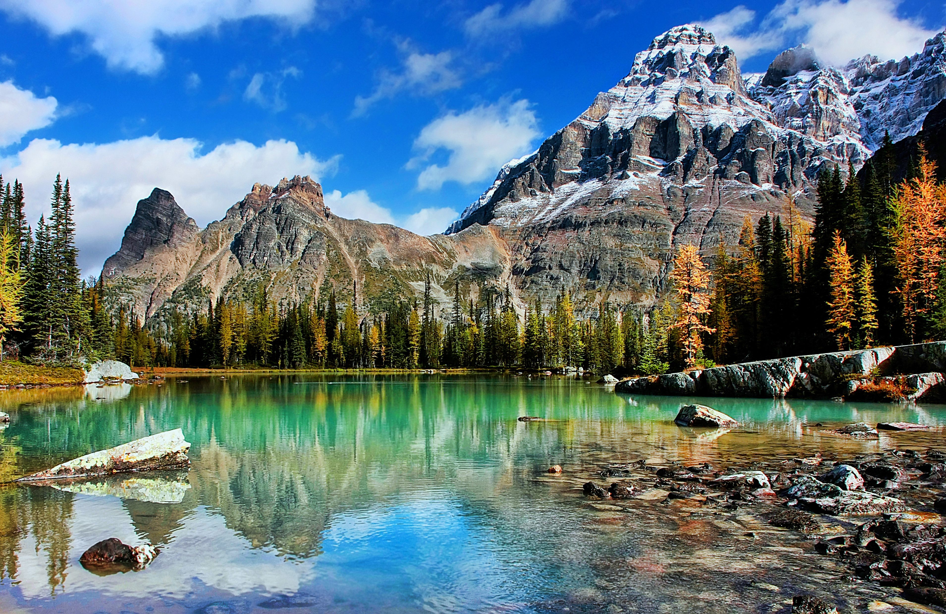 Het groene meer van Yoho National Park, Canada