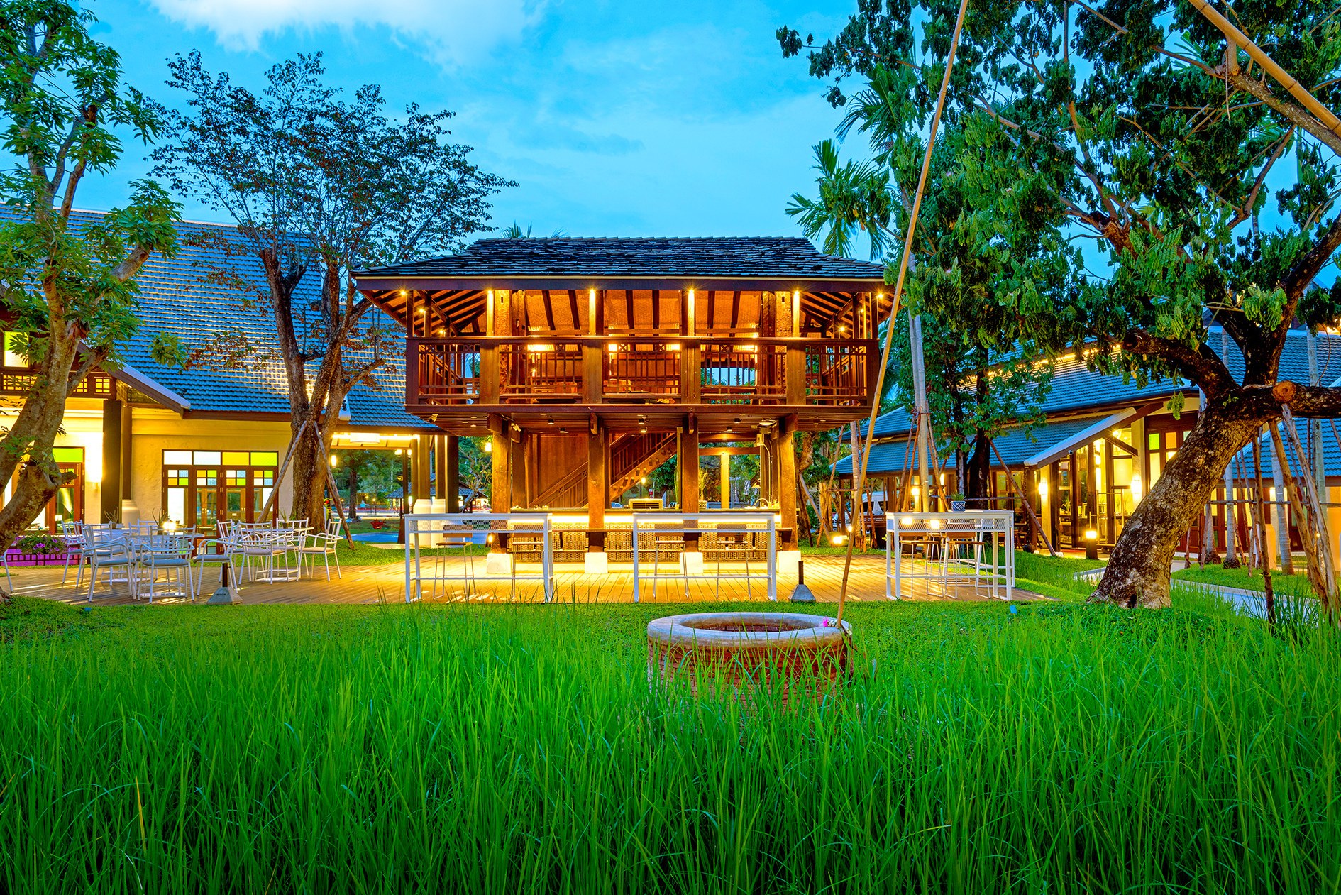 Rijstveld bij Smile Lanna Hotel in Chiang Mai in Thailand