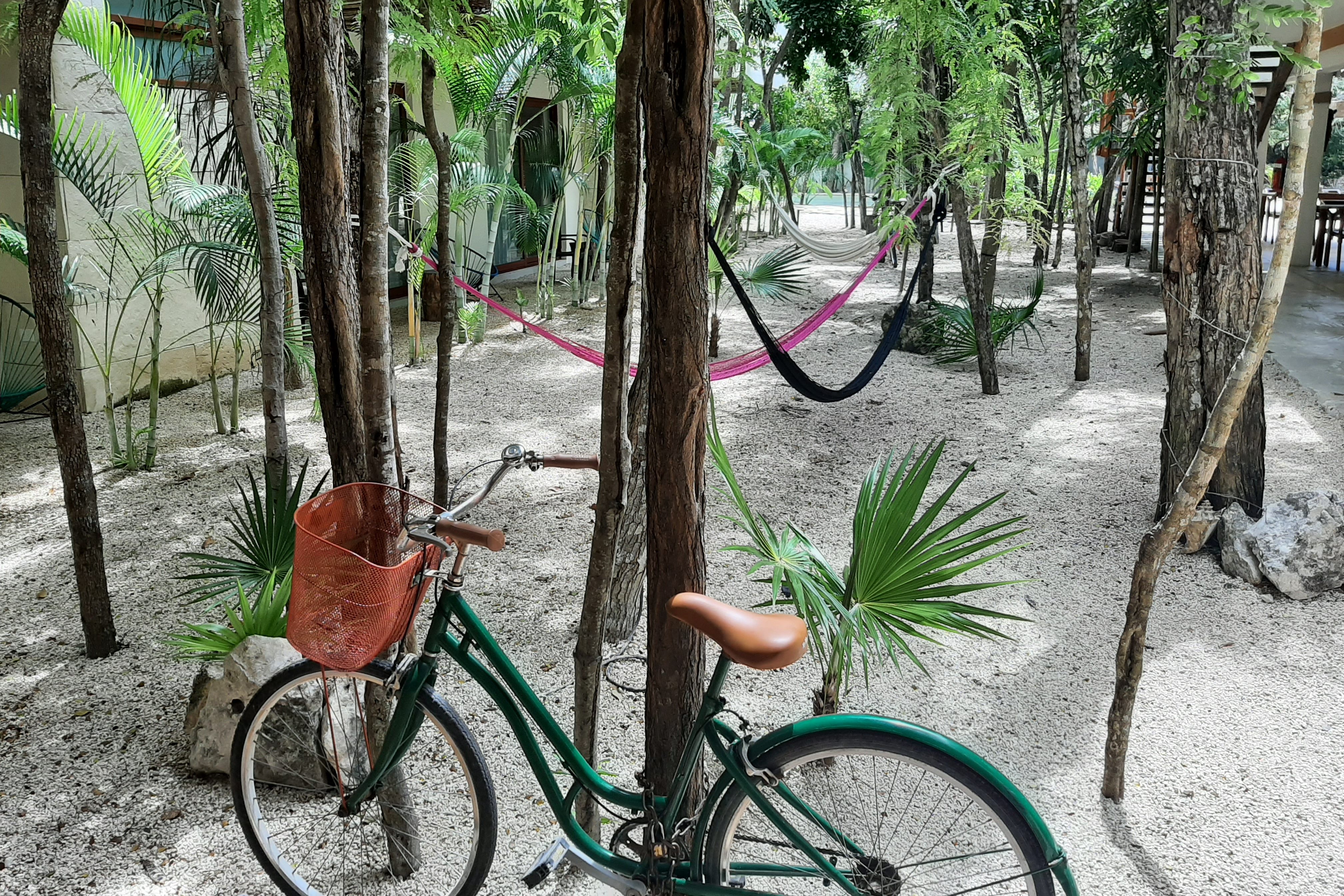 Mexico Tulum Hotel Niik tuin hangmatten
