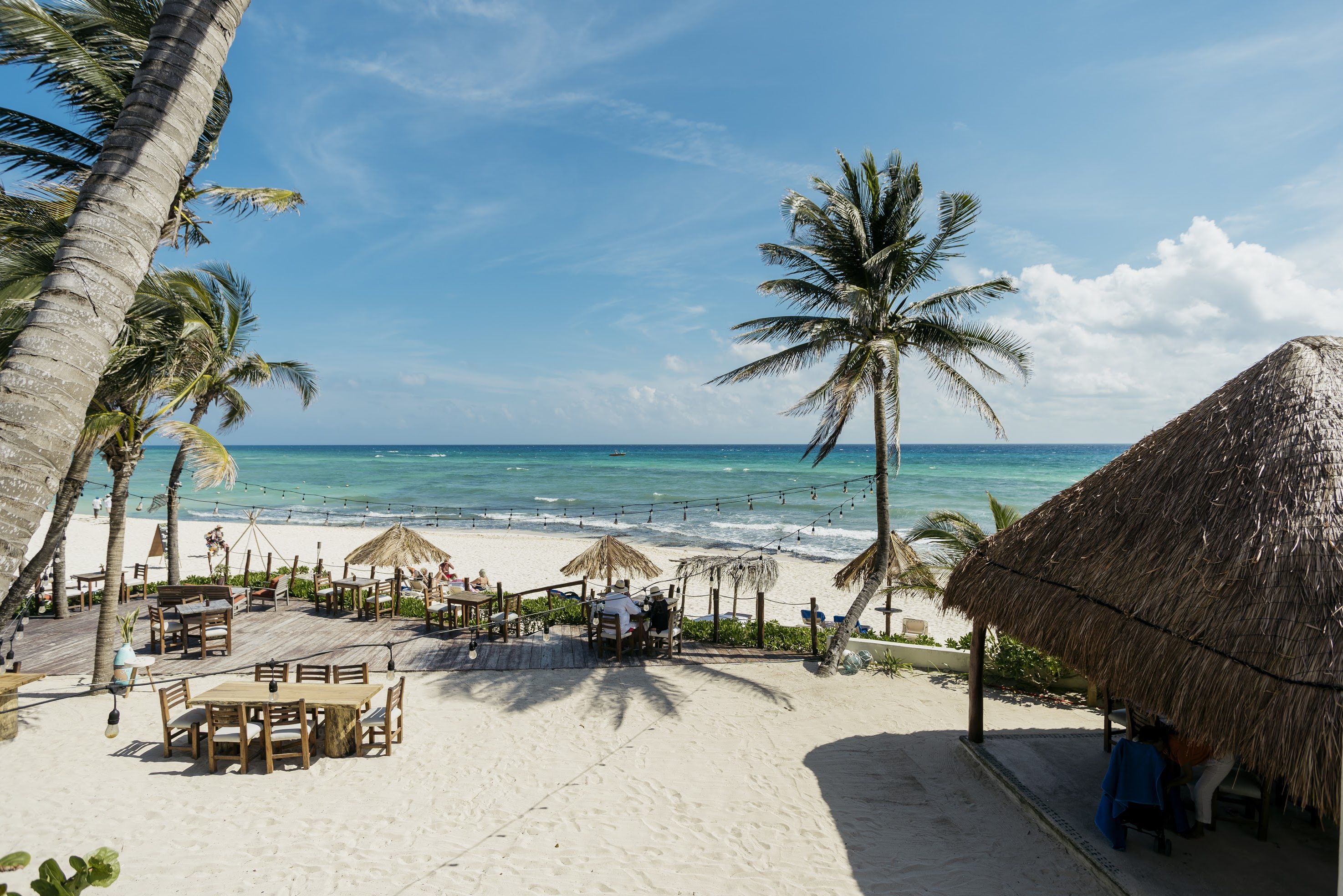 Mexico Playa Del Carmen Petit Lafitte Bar