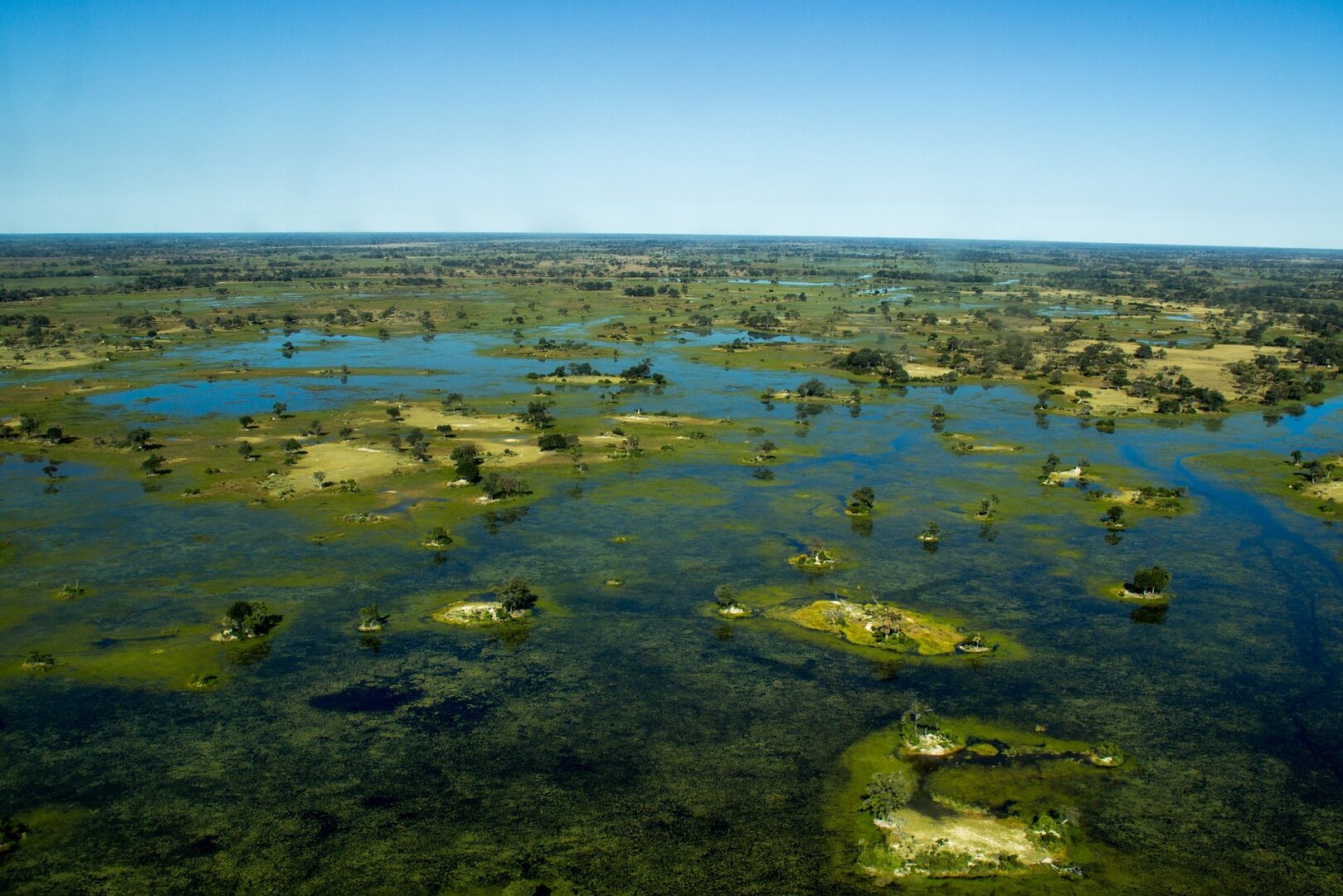 Botswana Okavango delta