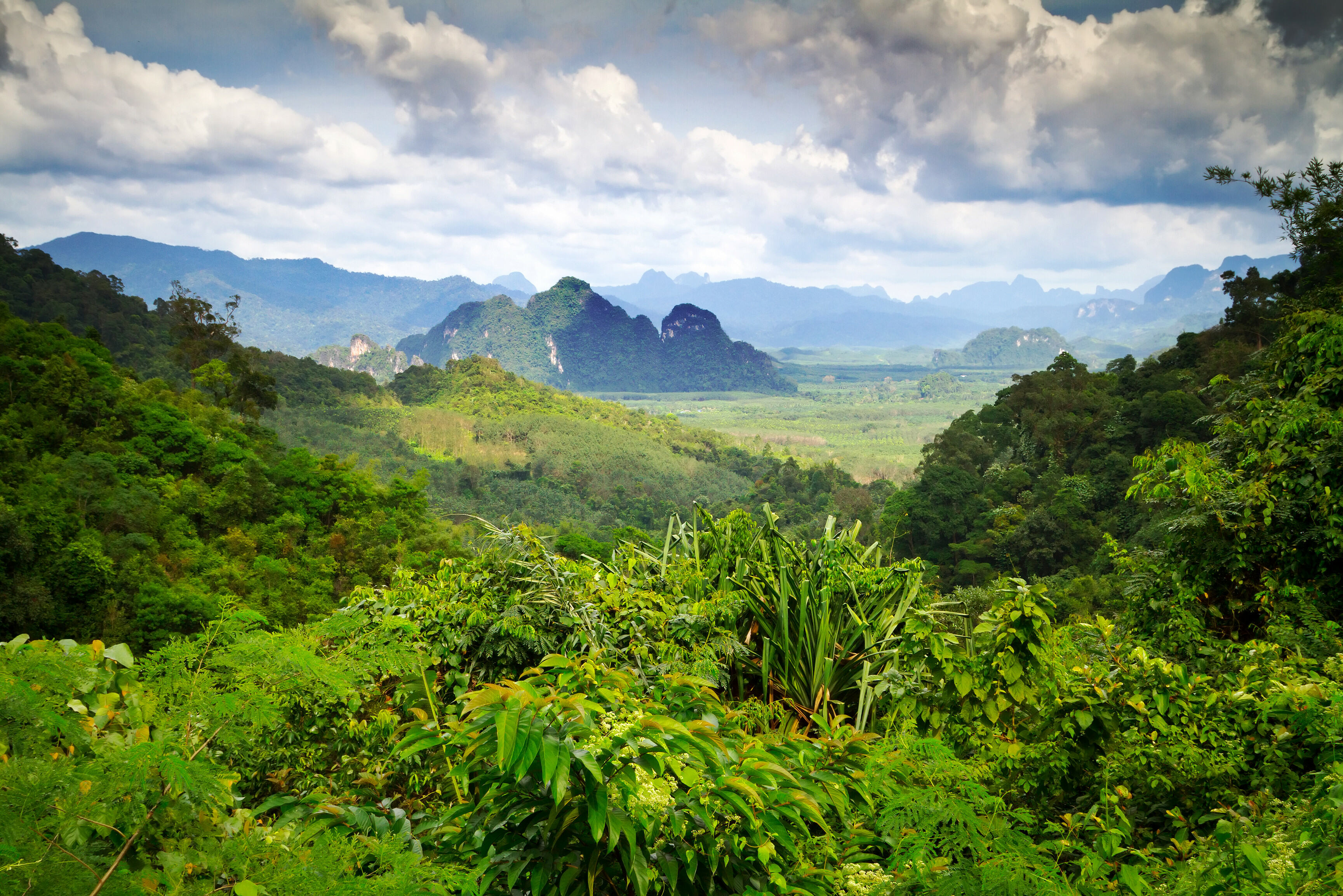 Khao Sok nationaal park