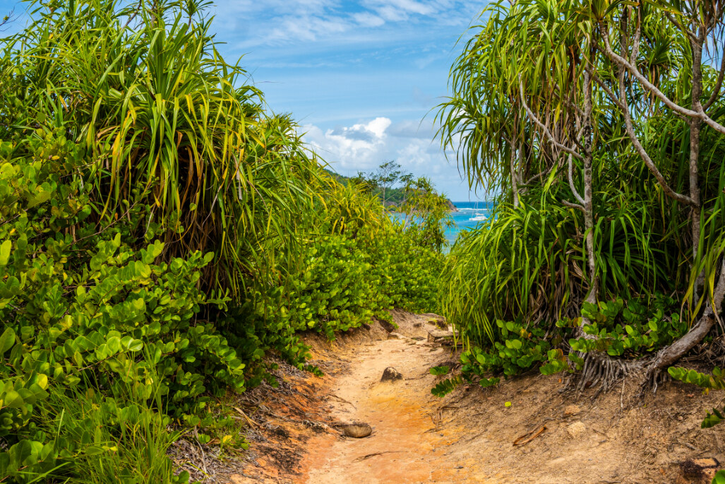 Wandelpad Anse Badamier op Curieuse