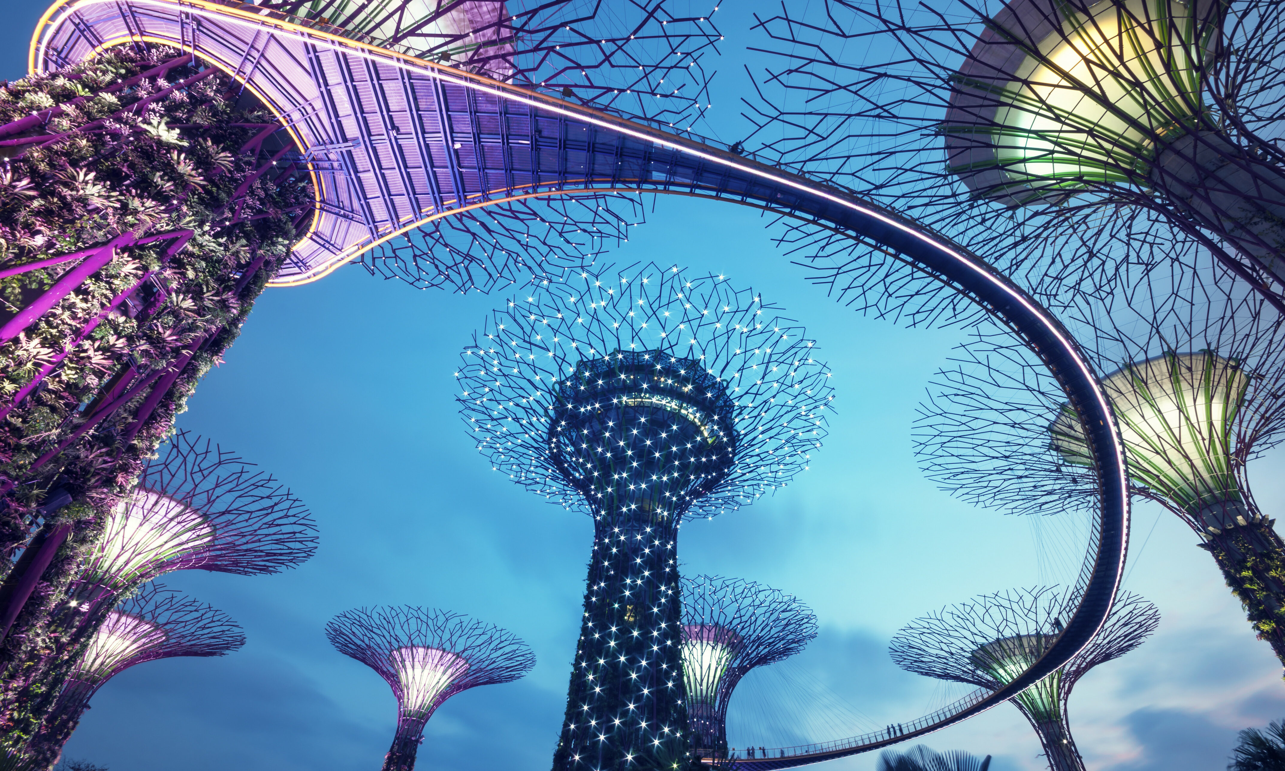 Singapore - Gardens by the Bay