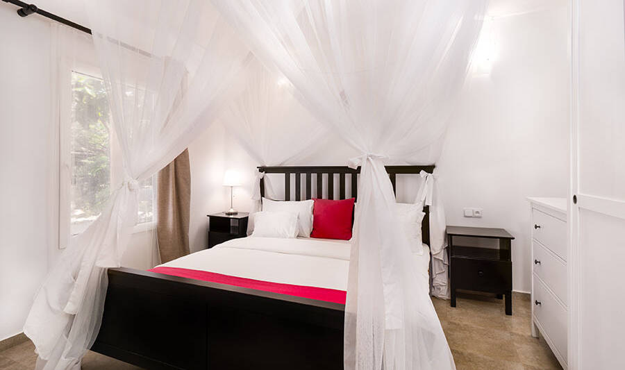 Tanzania Zanzibar White Paraside Studio