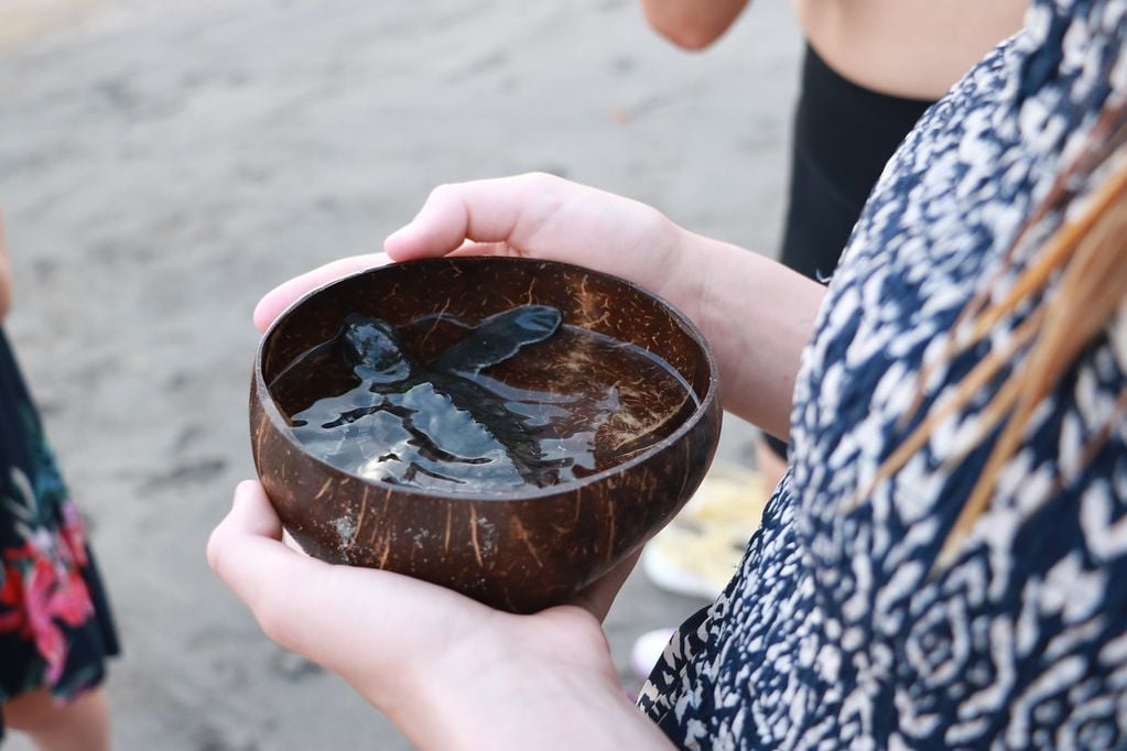 Indonesie Lombok Sheraton Senggigi Beach Resort Schildpadden uitzetten