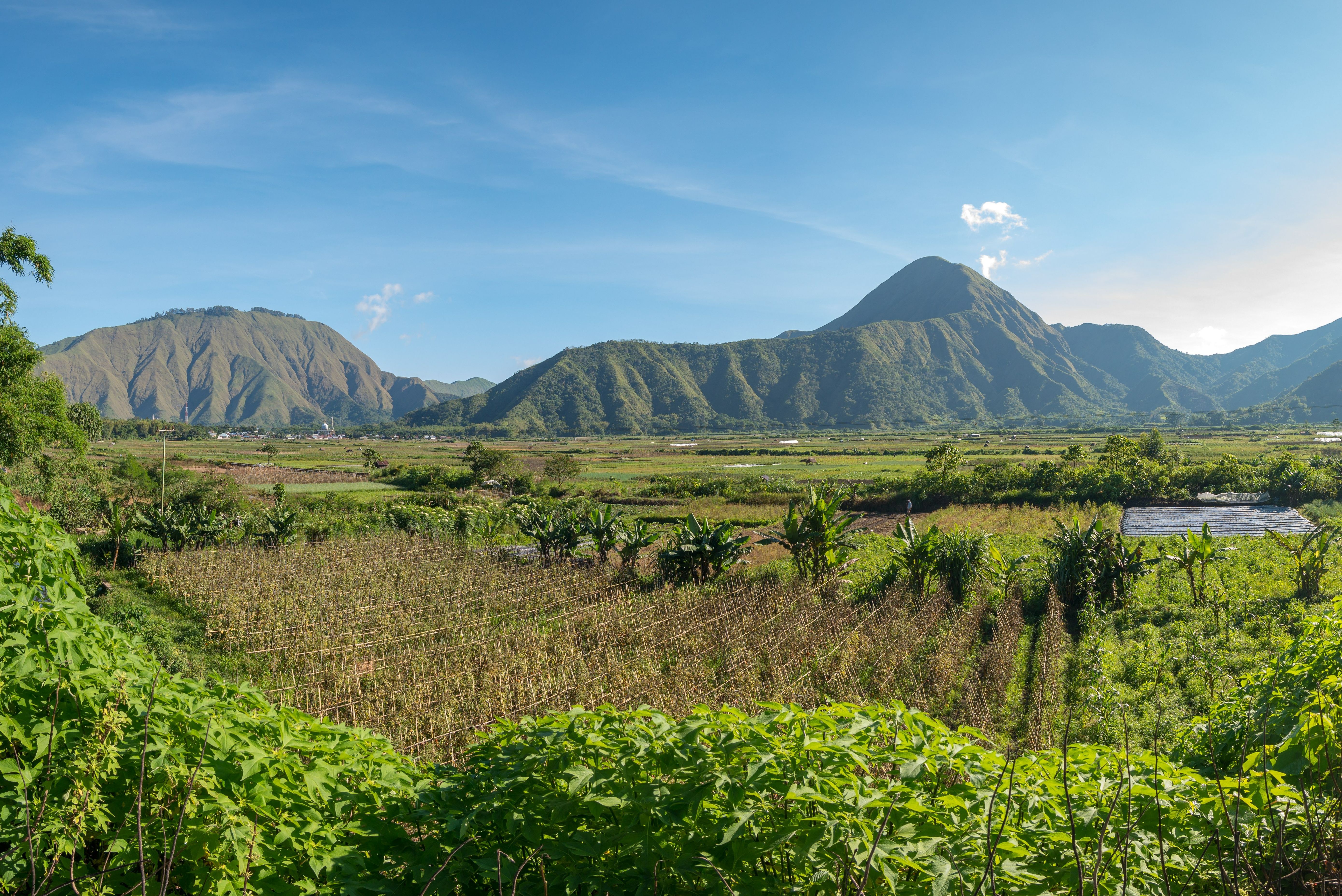 Indonesie Lombok Sembalun