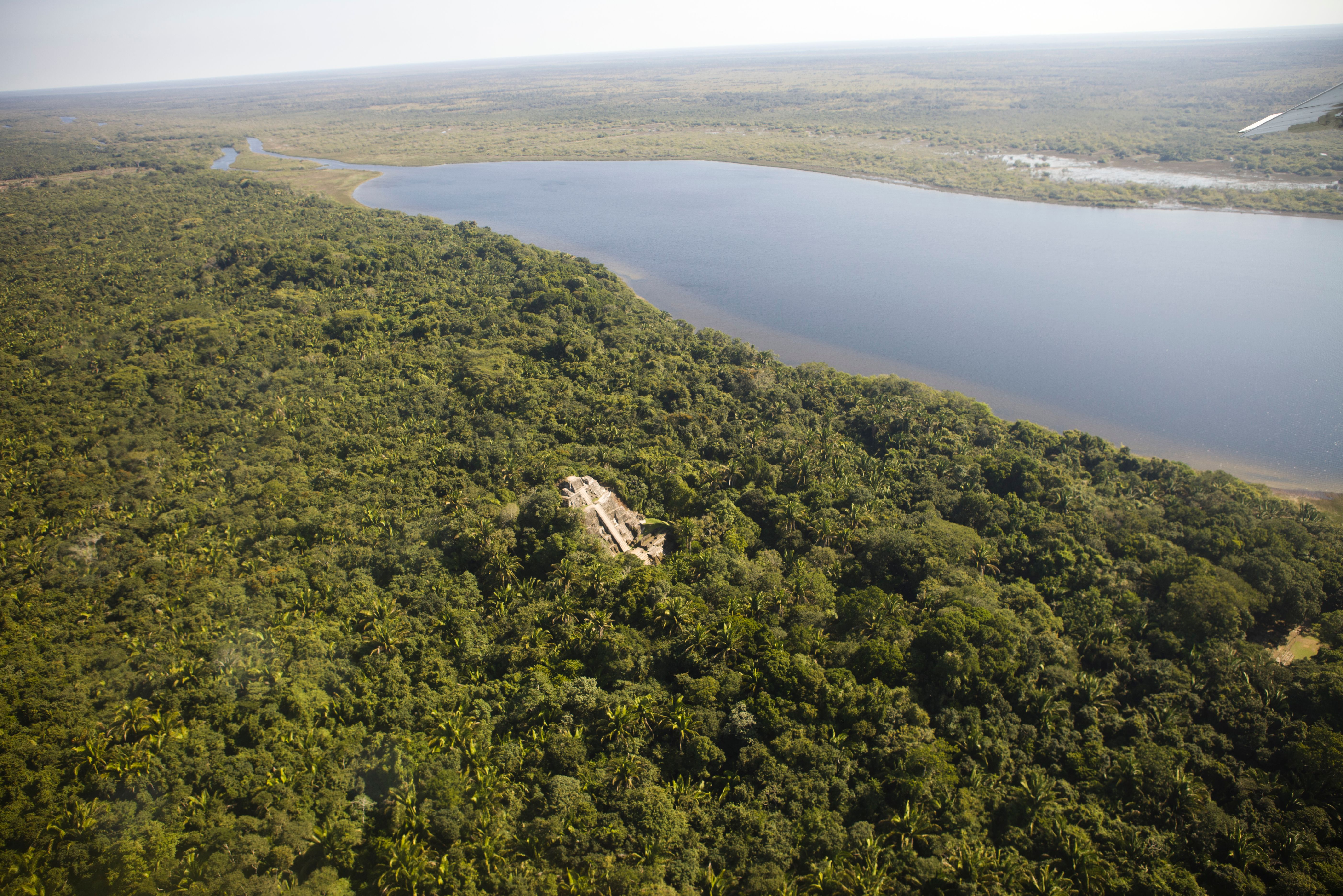 Lamanai Maya-tempel omrings door jungle