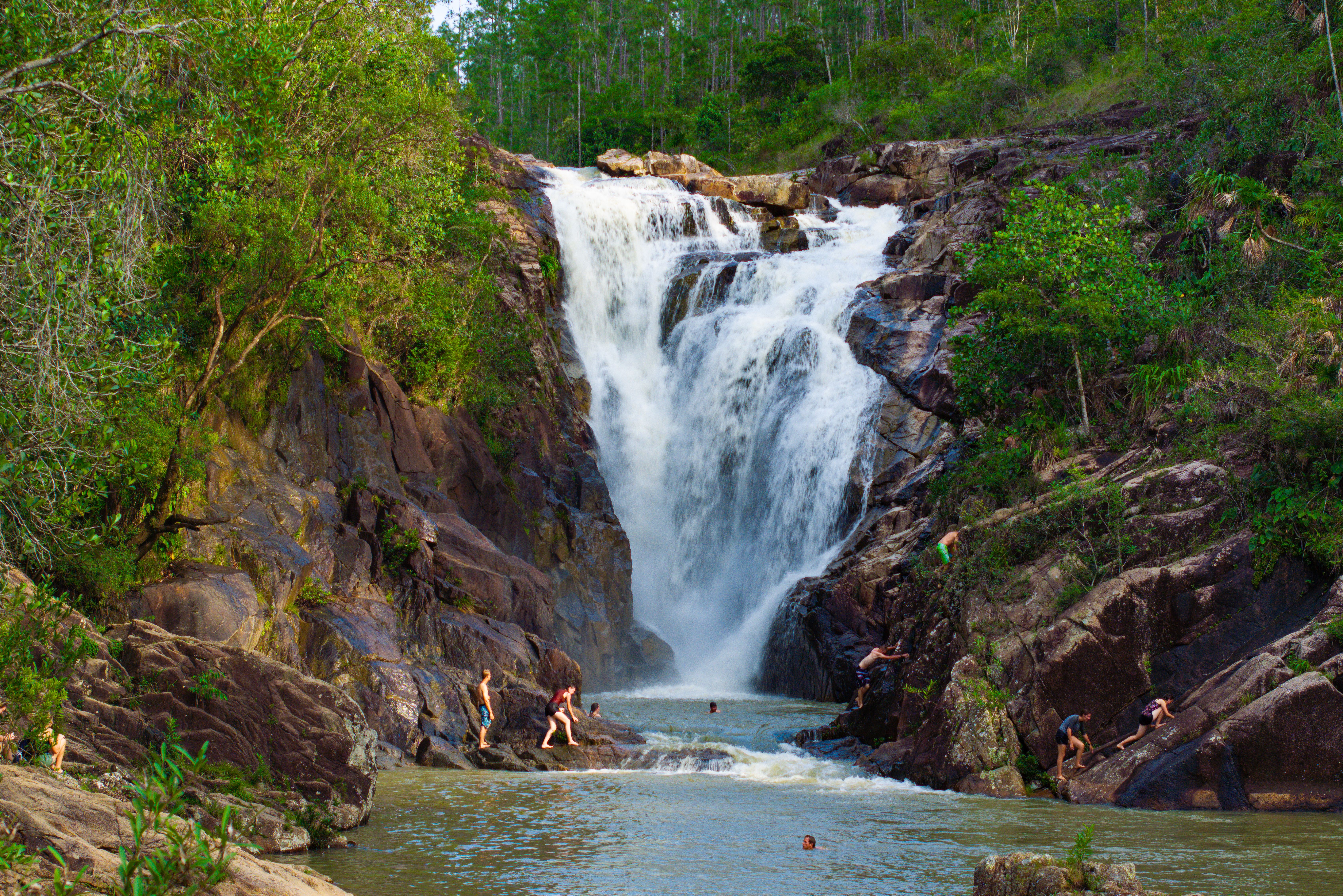 Watervallen in Mountain Pine Forest Reserve