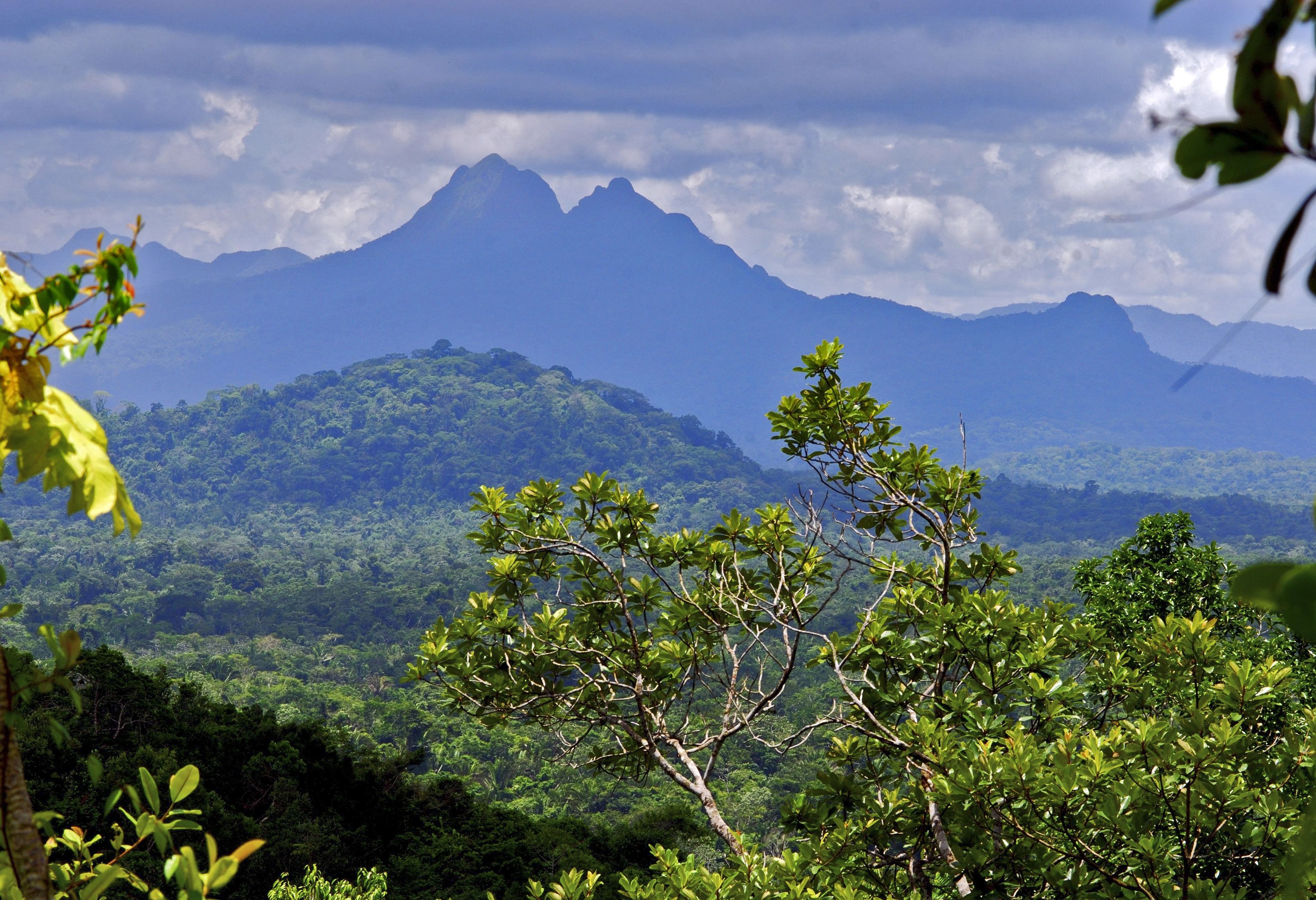 Cockscomb Basin Wildlife Sanctuary vanuit Placencia