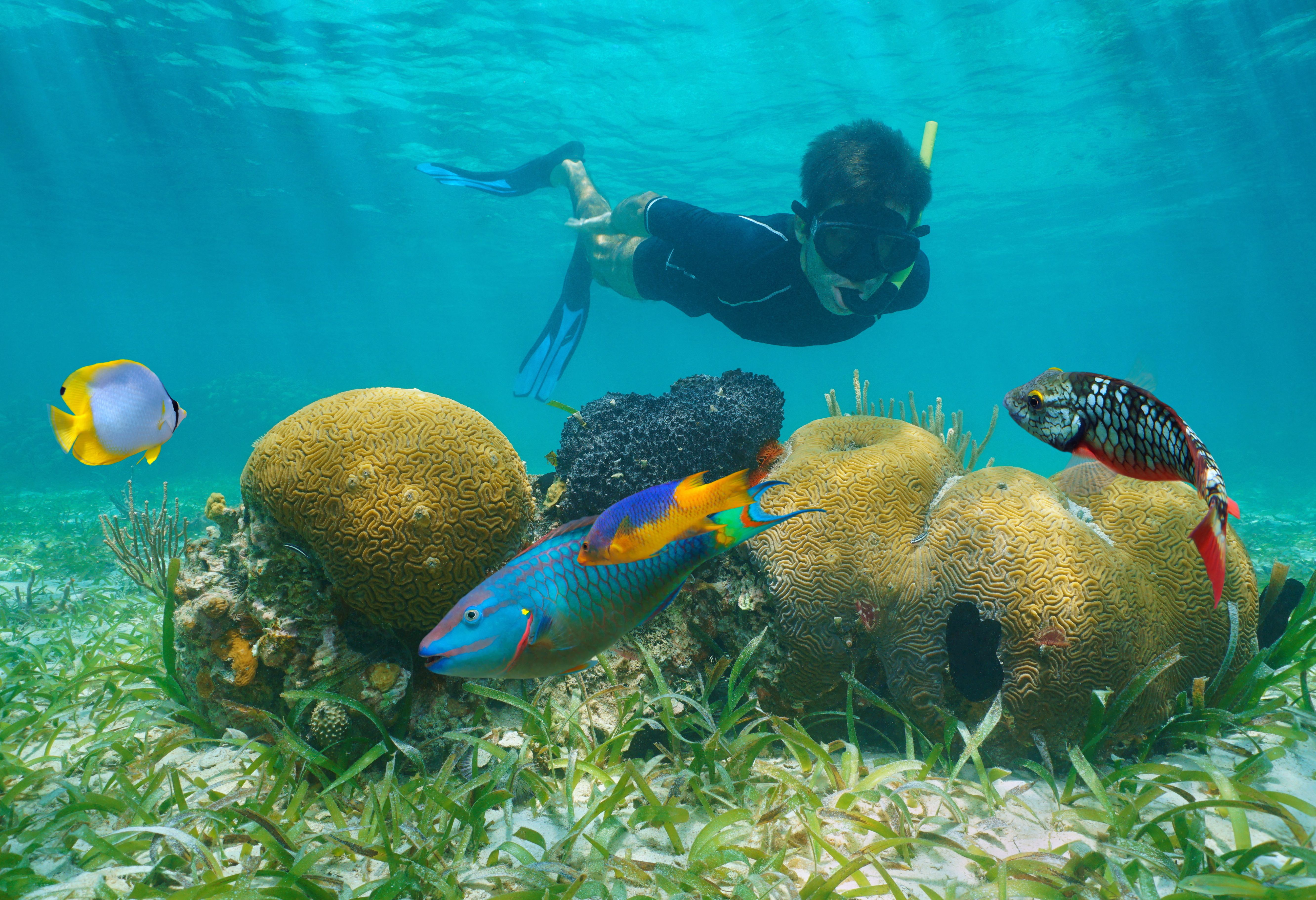 Prachtige onderwaterwereld in Belize