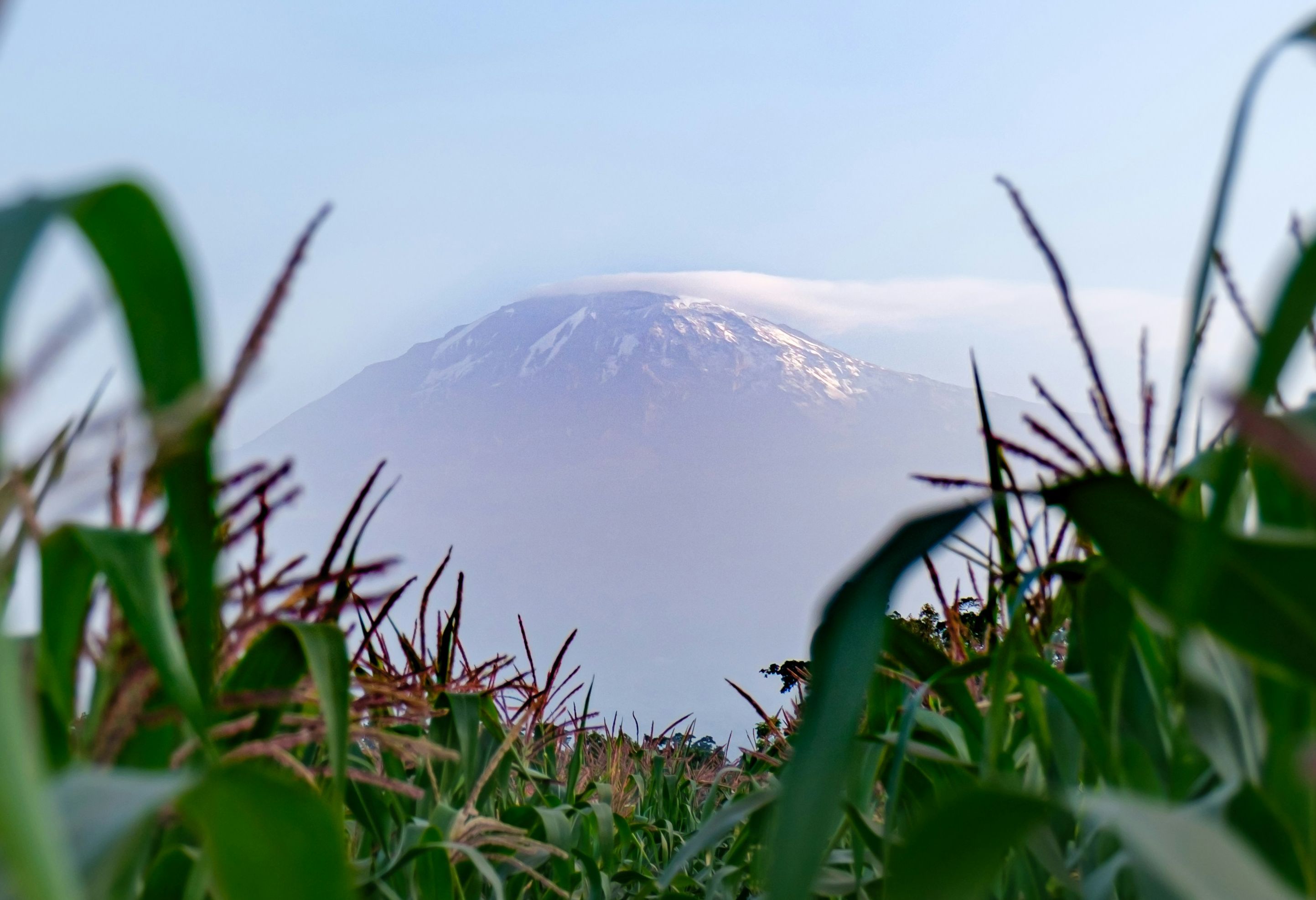 Tanzania Moshi Uitzicht Kilimanjaro