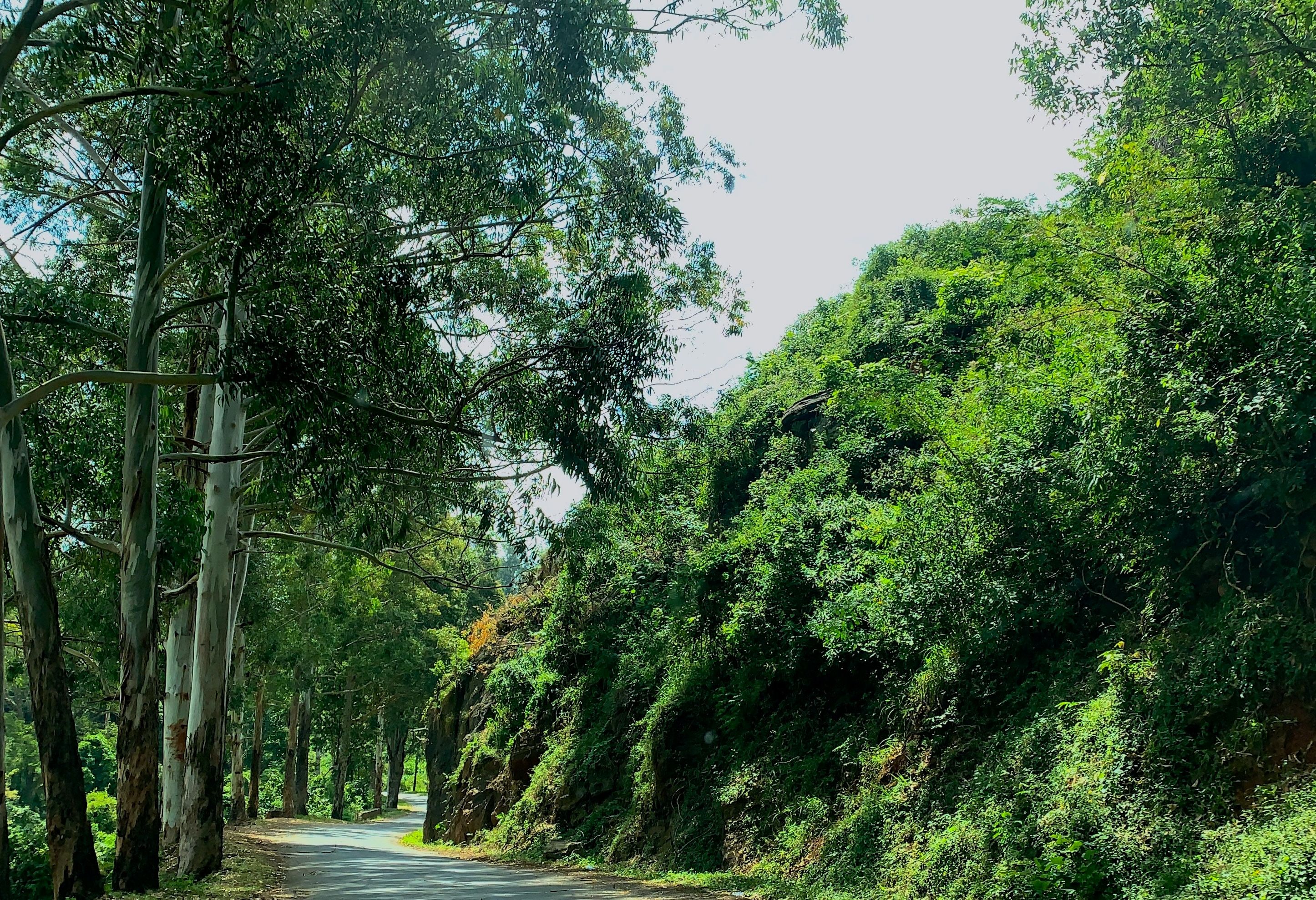 Tanzania Usambara Mountains Lushoto