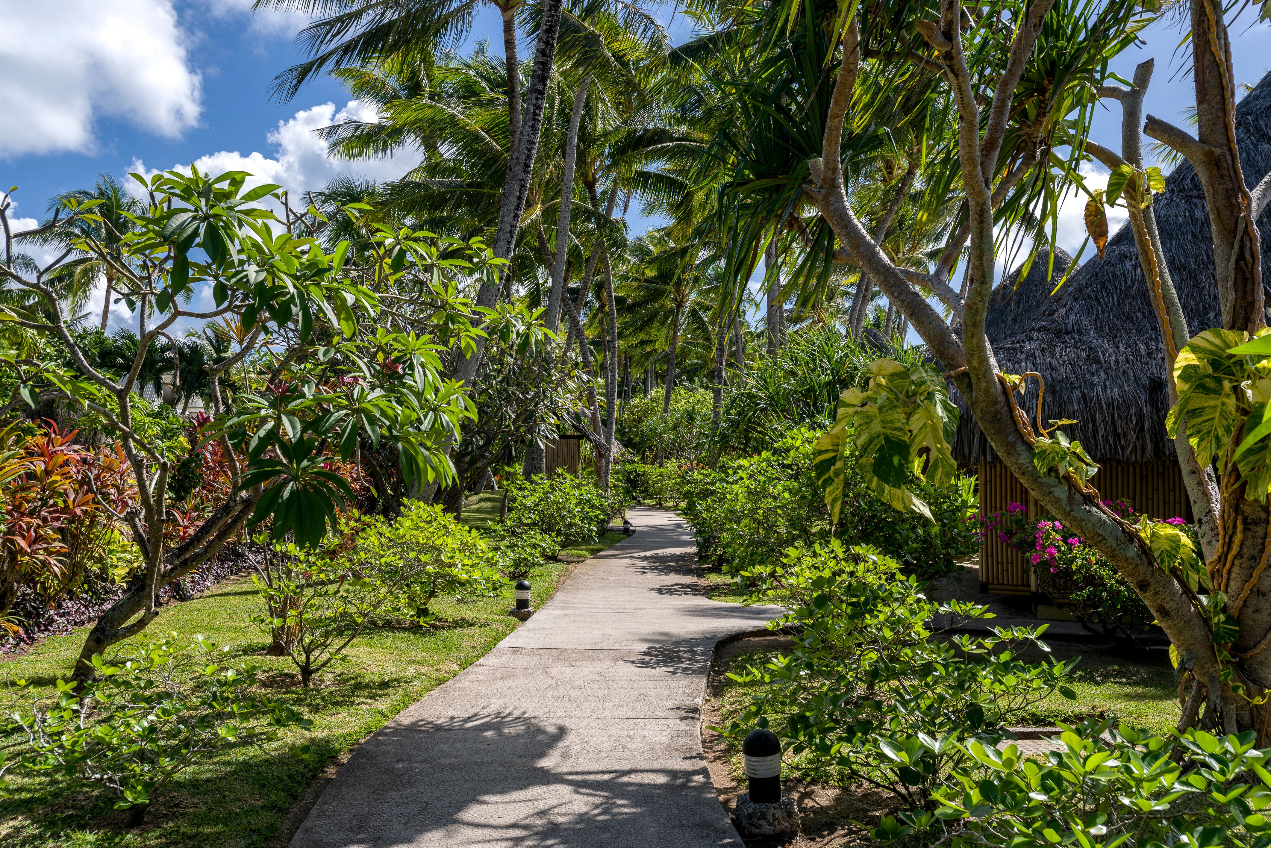 Frans Polynesie Intercontinental Bora Bora Le Moana Resort Tuinen