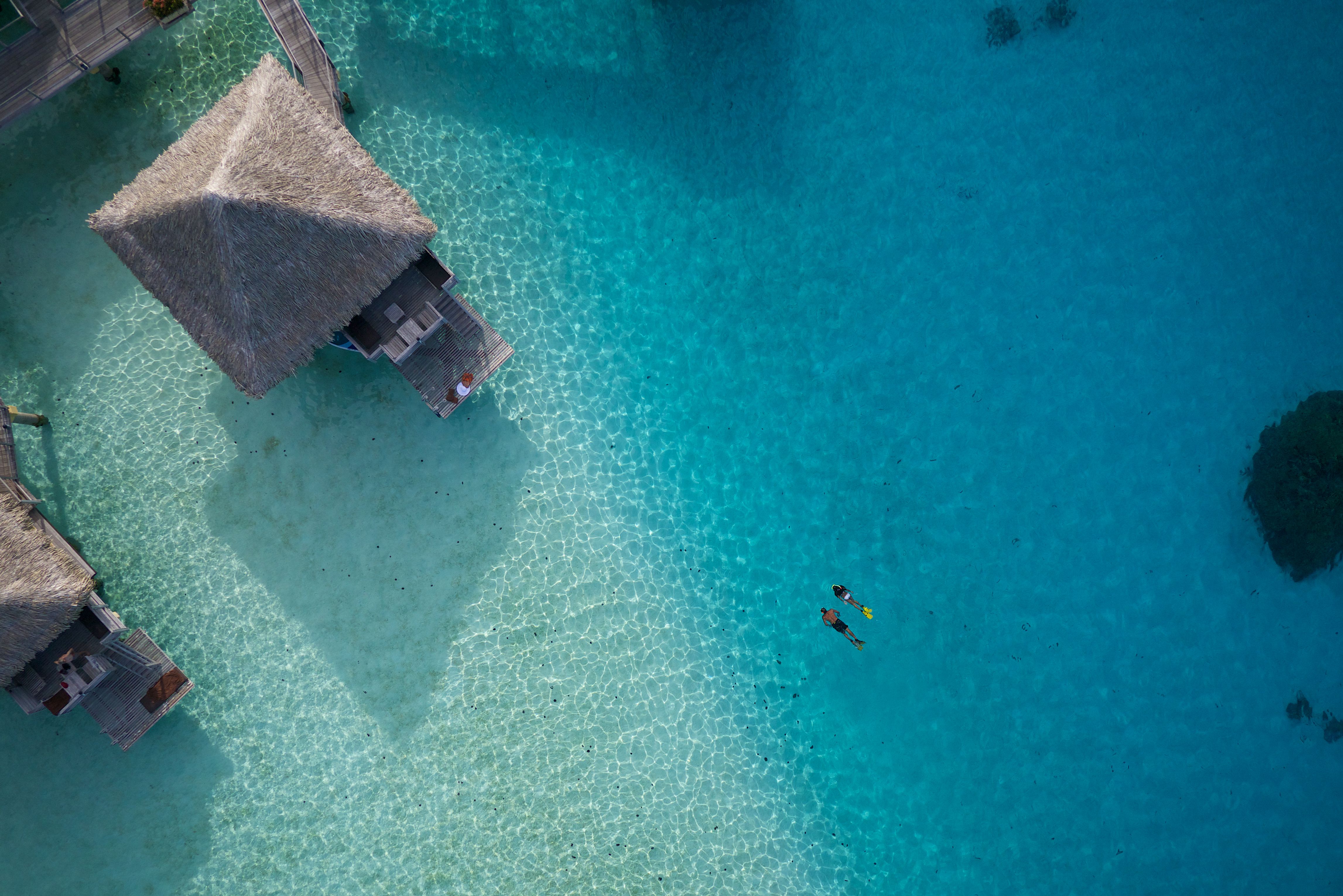 Frans Polynesie Intercontinental Bora Bora Le Moana Resort Zwemmen