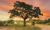 Sri-Lanka-Yala-Wild-Coast-Tented-Lodge-Game-Drive