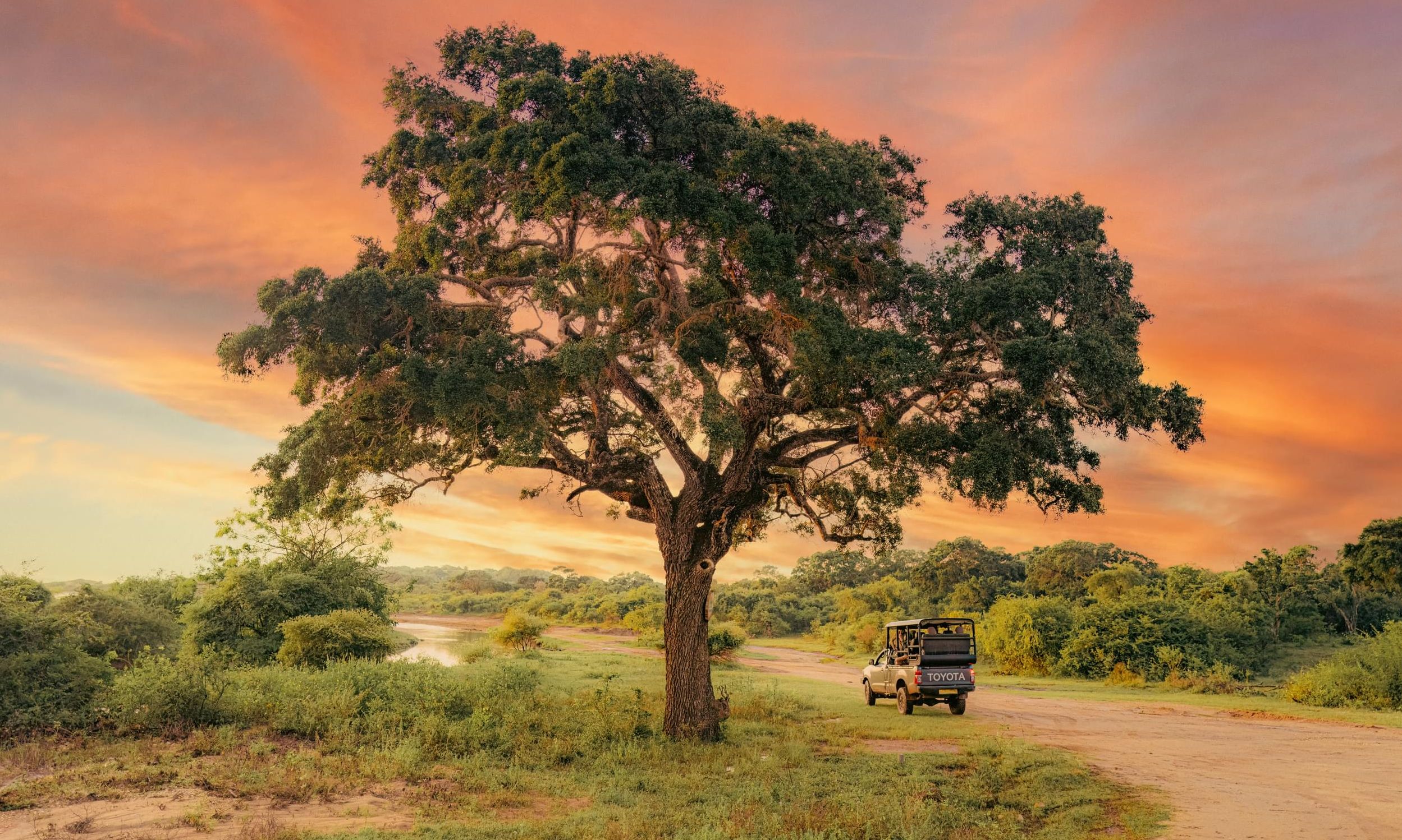 Sri-Lanka-Yala-Wild-Coast-Tented-Lodge-Game-Drive