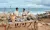Sri-Lanka-Yala-Wild-Coast-Tented-Lodge-Sundowner