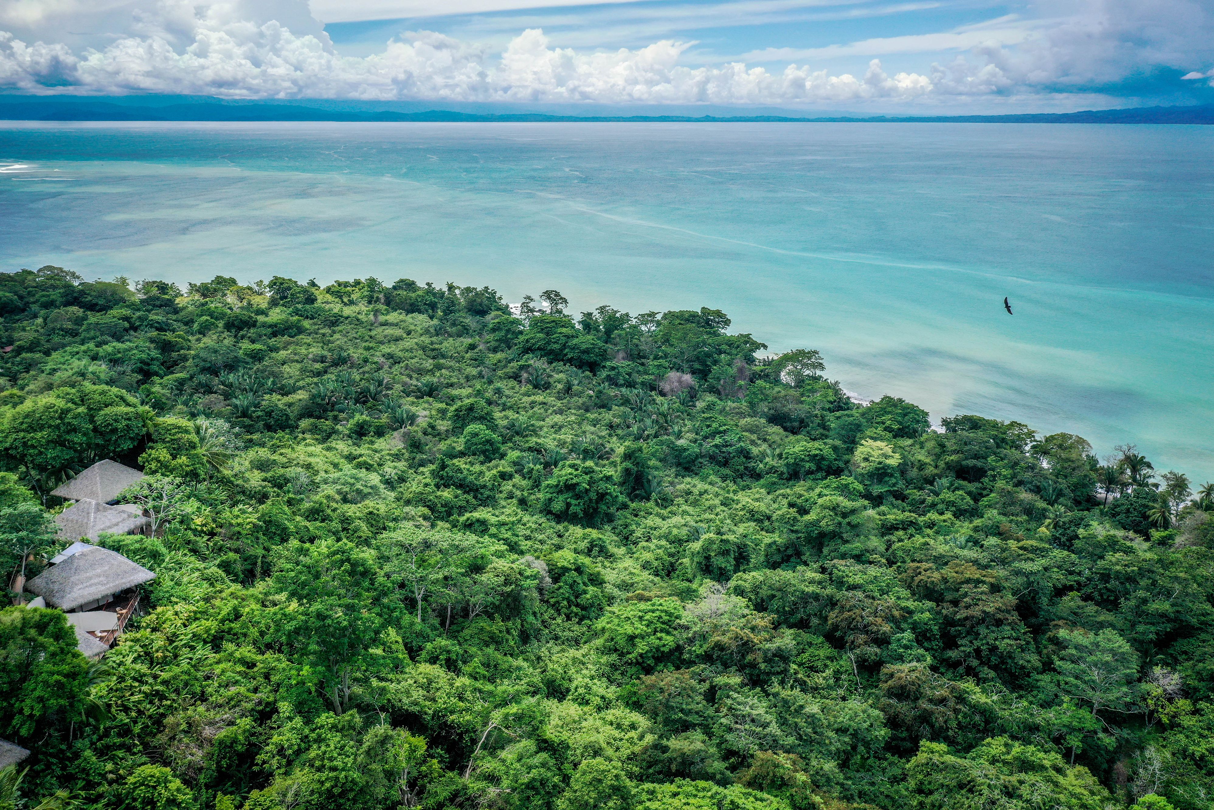 Costa Rica Puerto Jimenez Lapa Rios Landschap