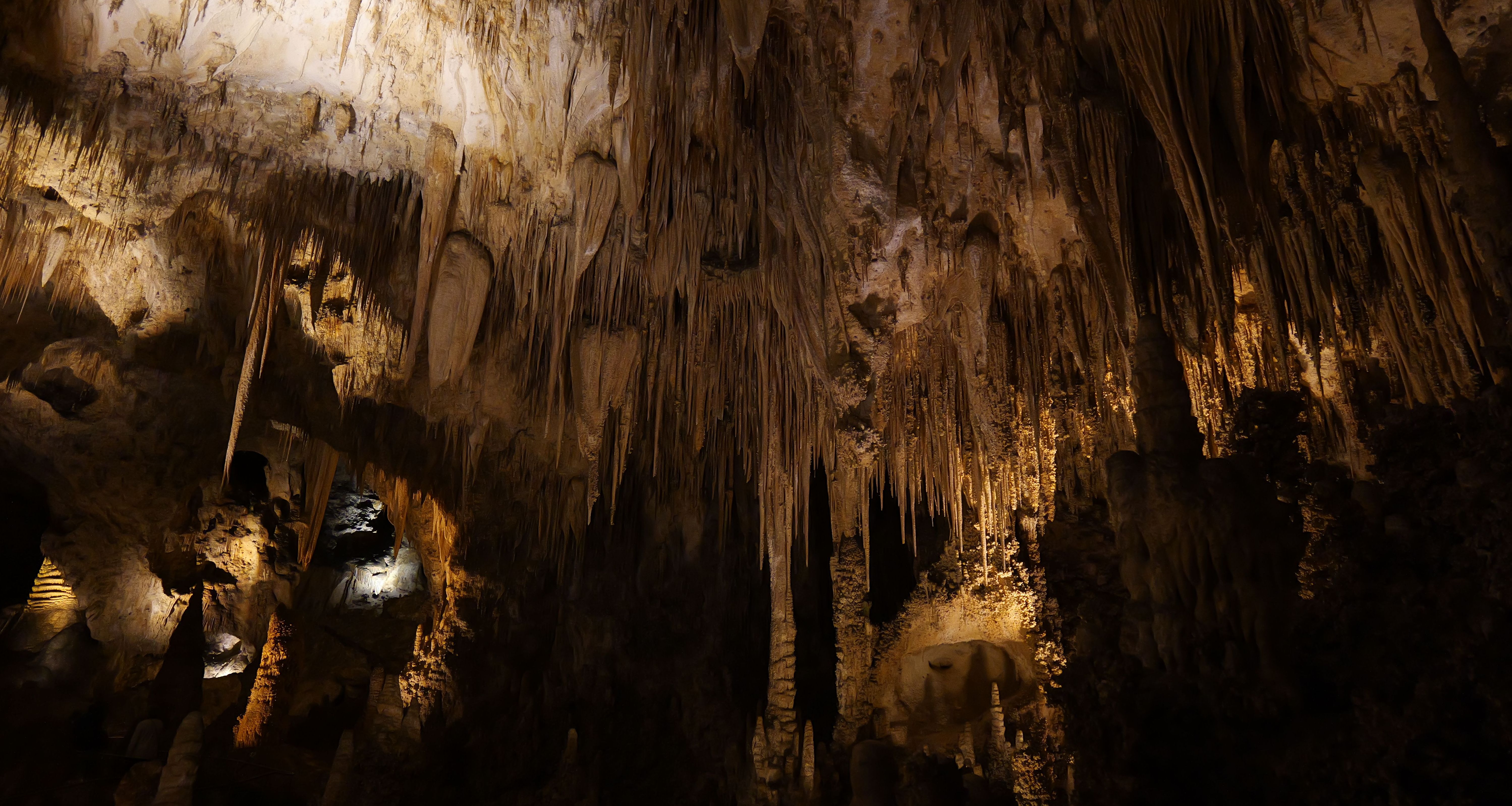 Amerika-Carlsbad-Caverns-National-Park