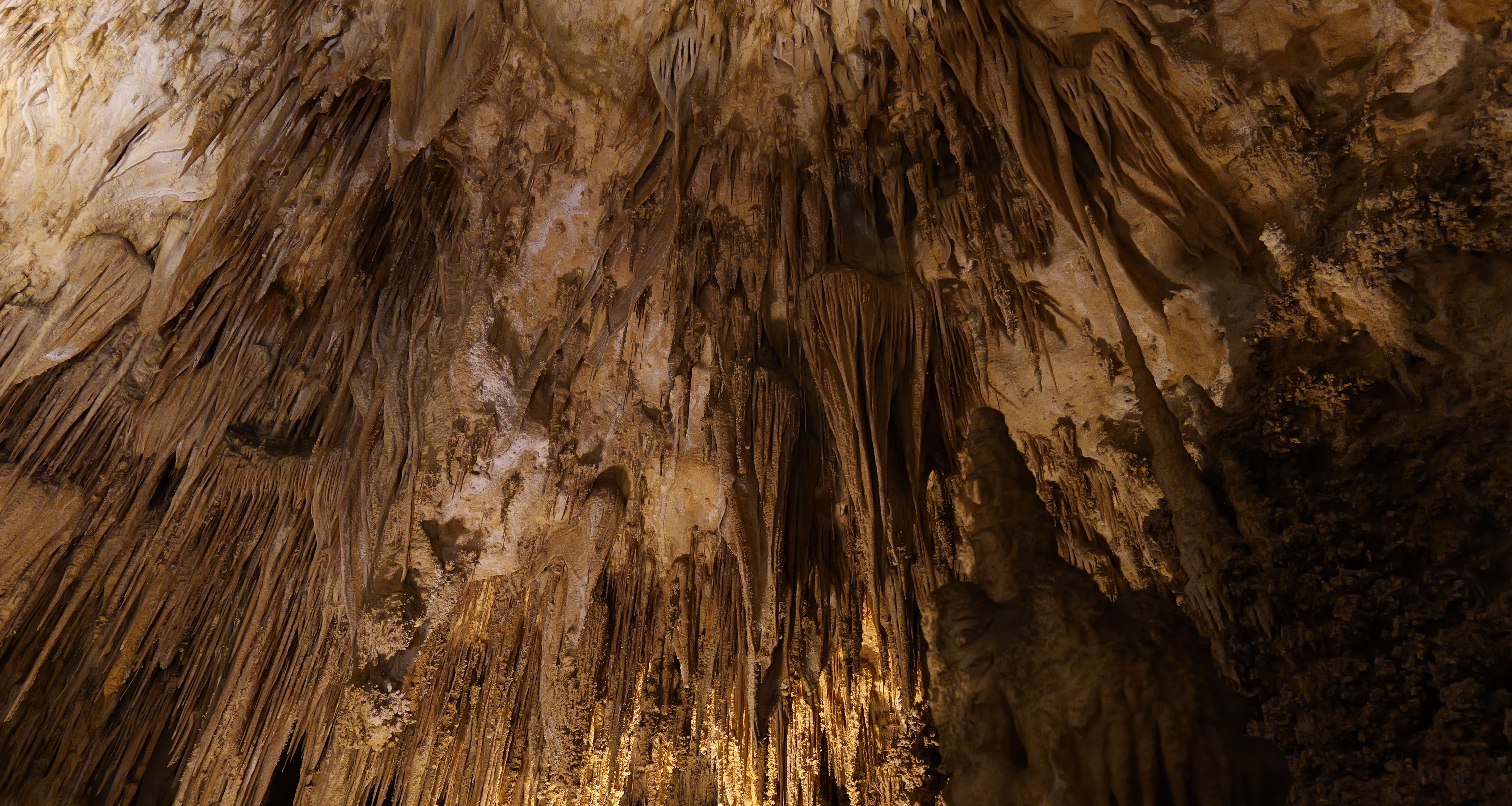 Amerika-Carlsbad-Caverns-National-Park-