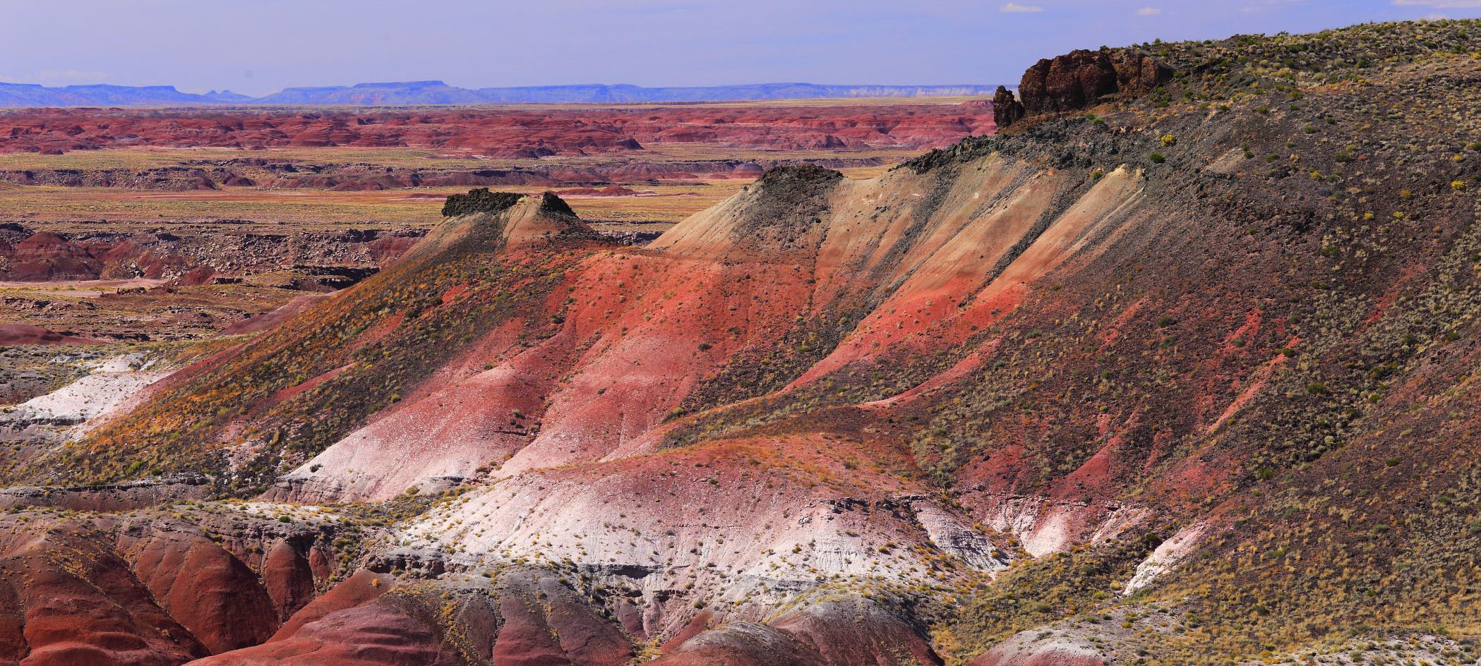 Petrified Forest National Park