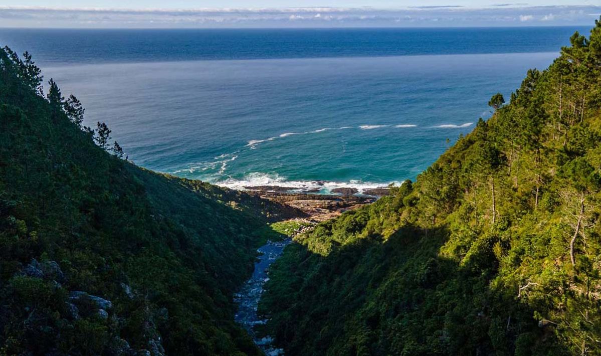 Zuid-Afrika Tsitsikamma Tuinroute The Fernery Premier Suite Ocean View