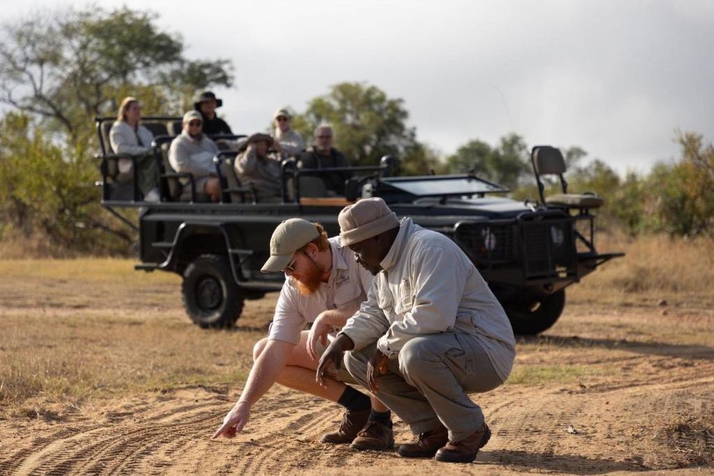 Op safari met ranger en tracker