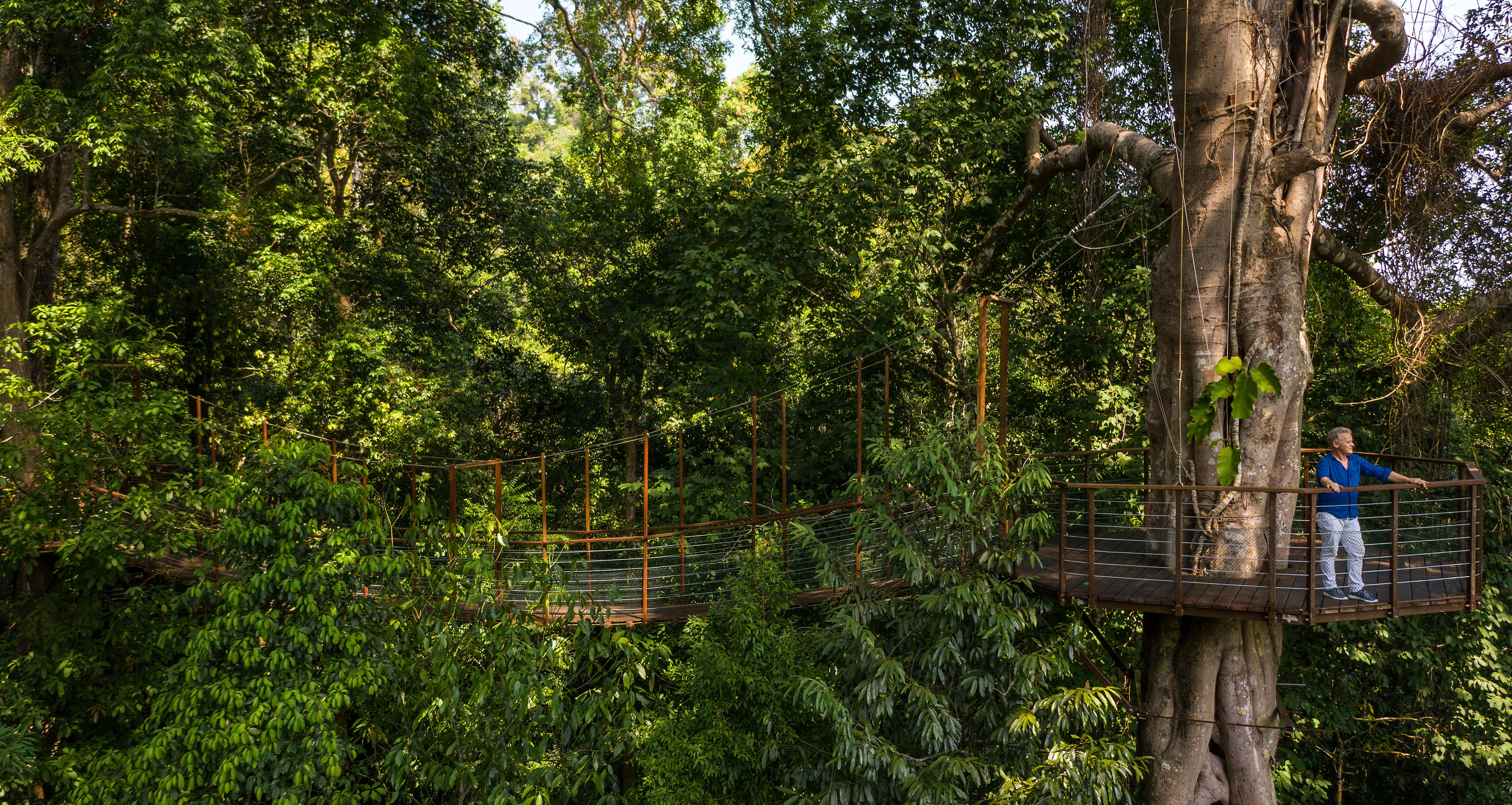 Maleisie-Langkawi-The-Datai-Canopy-Walk3