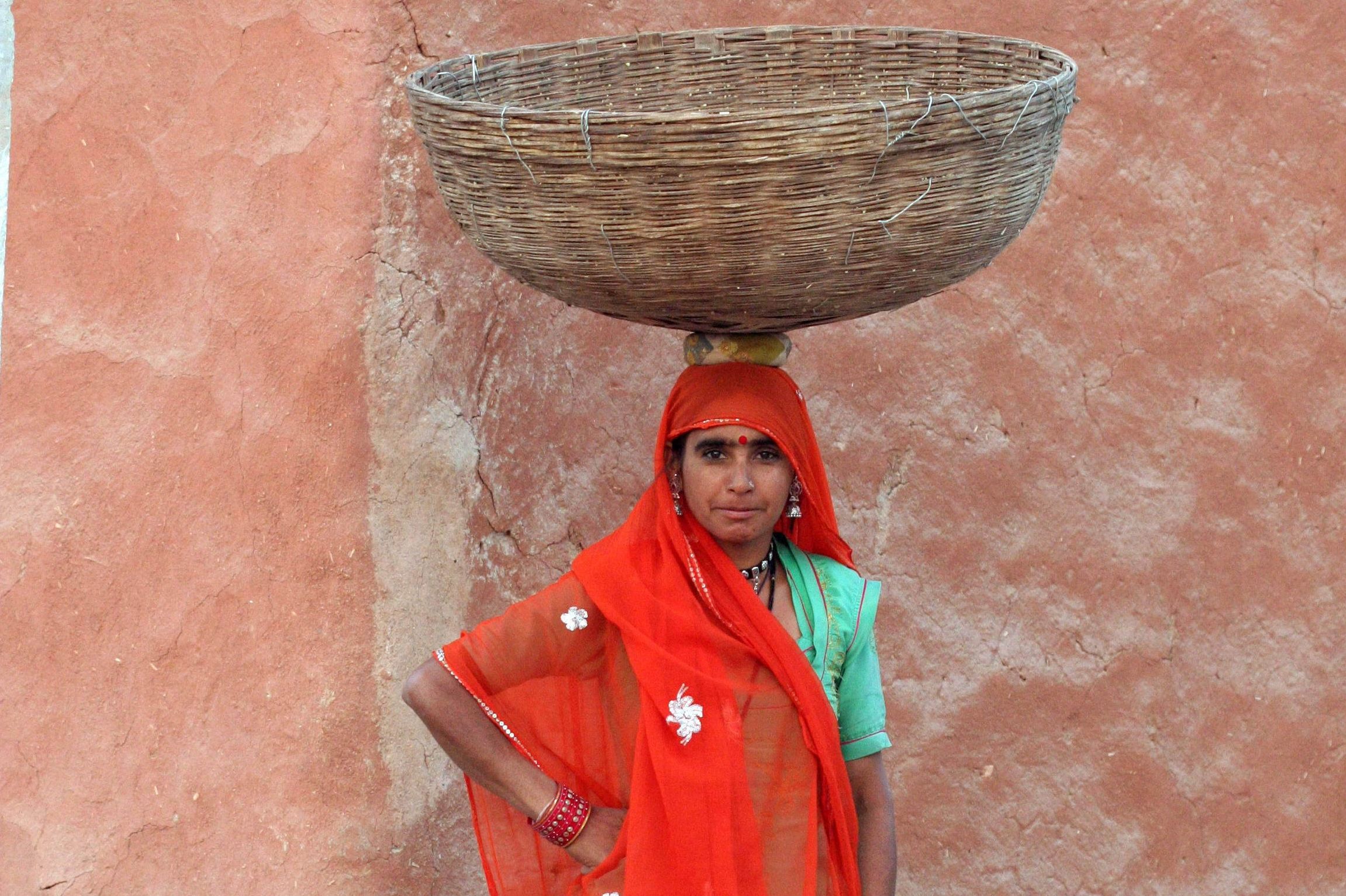 Dame met een mand in Rajasthan