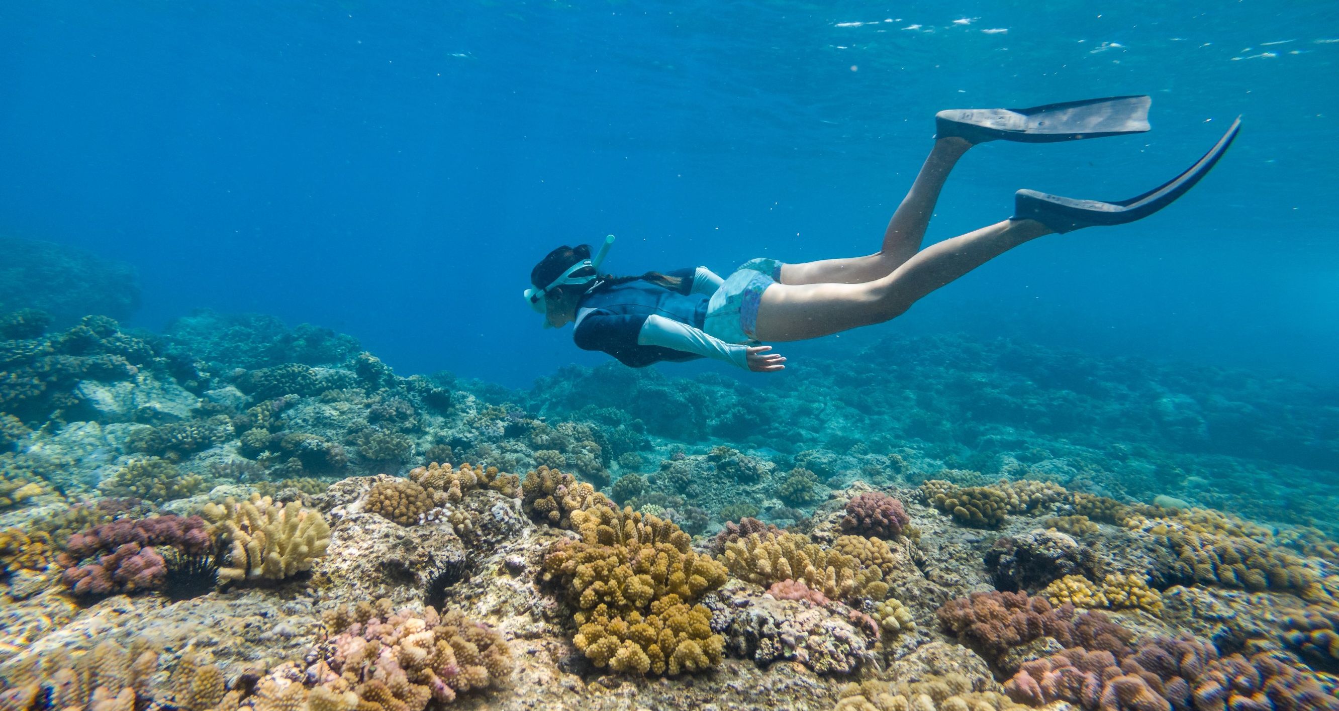Sri-Lanka-Trincomalee-Uga-Jungle-Beach-Activiteit-Snorkelen