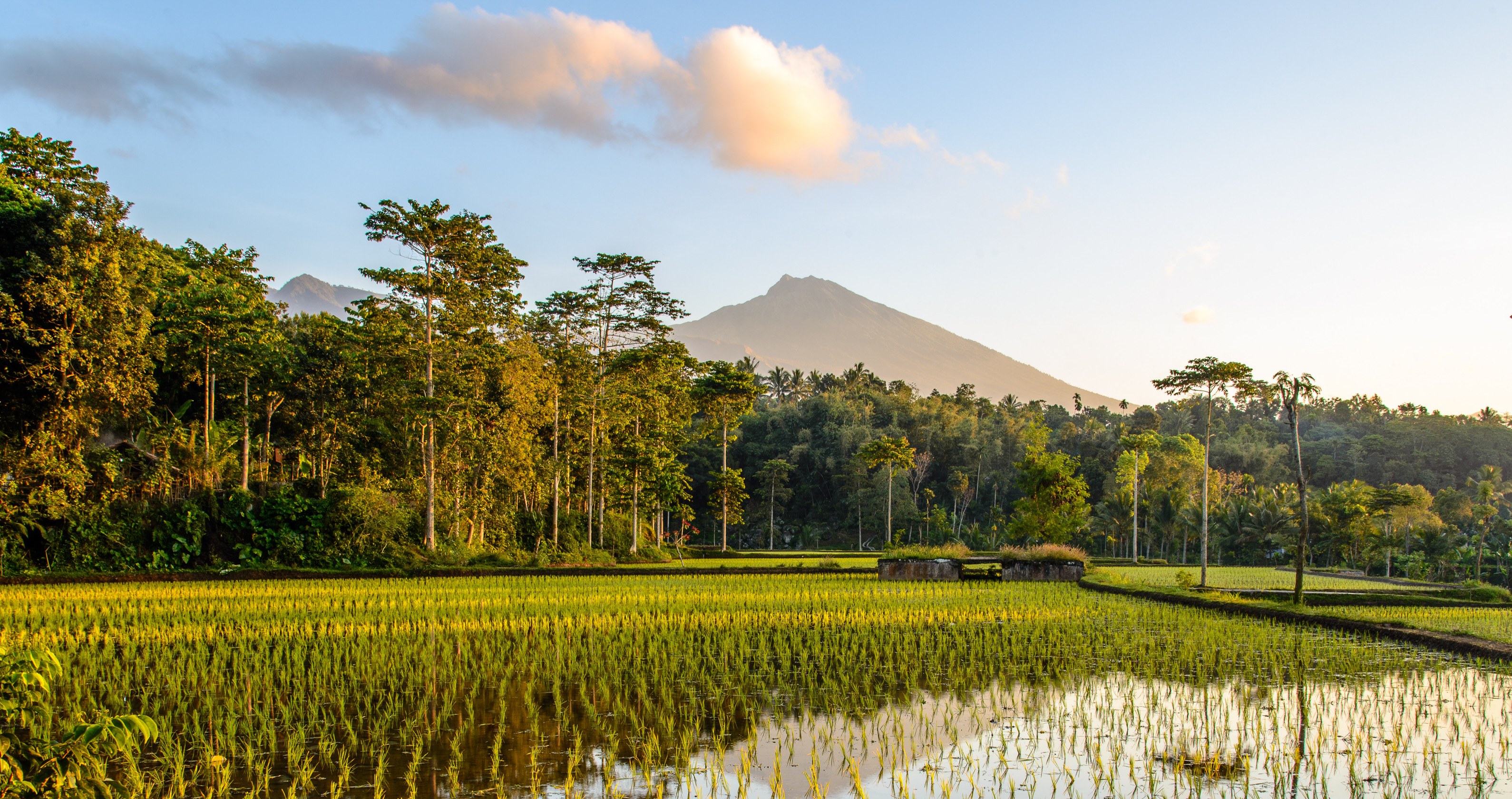 Lombok en Bali
